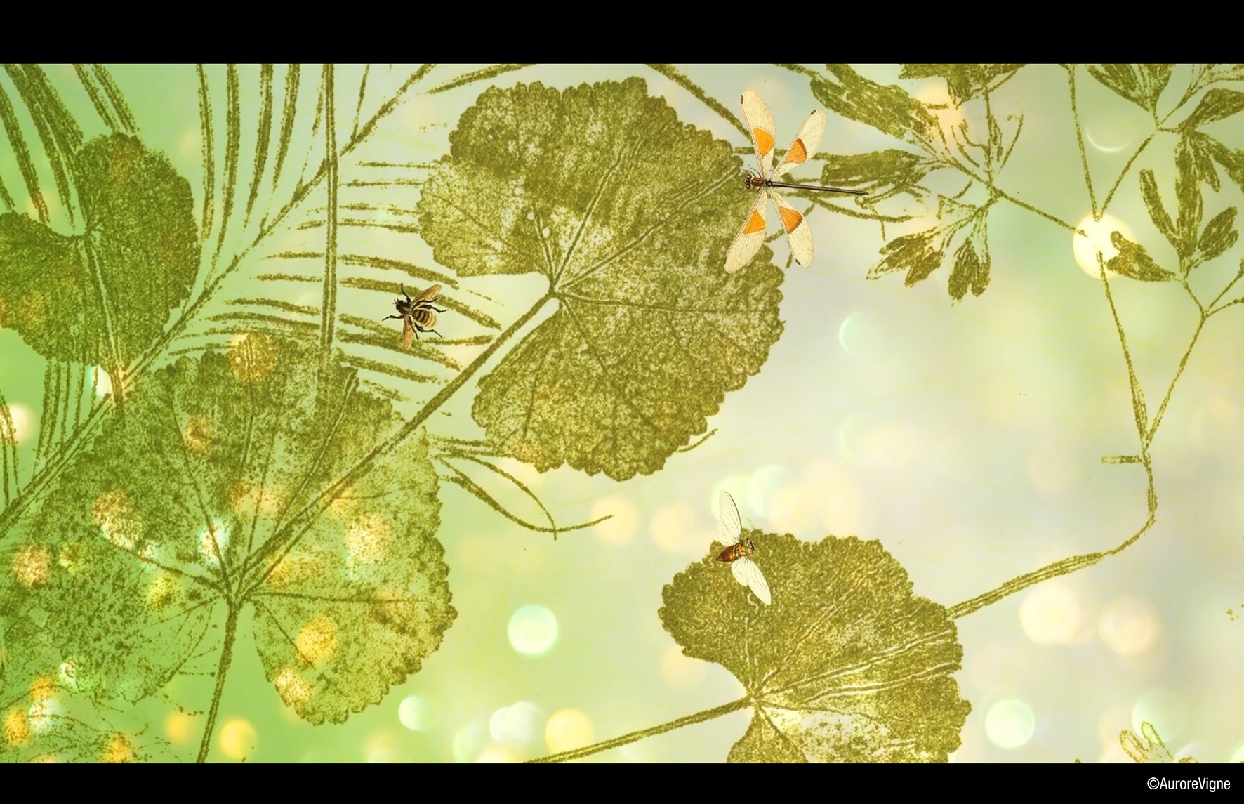 Extract from the video clip of the single "Weightless" for Stephane Nestel. Animated by ©AuroreVigne