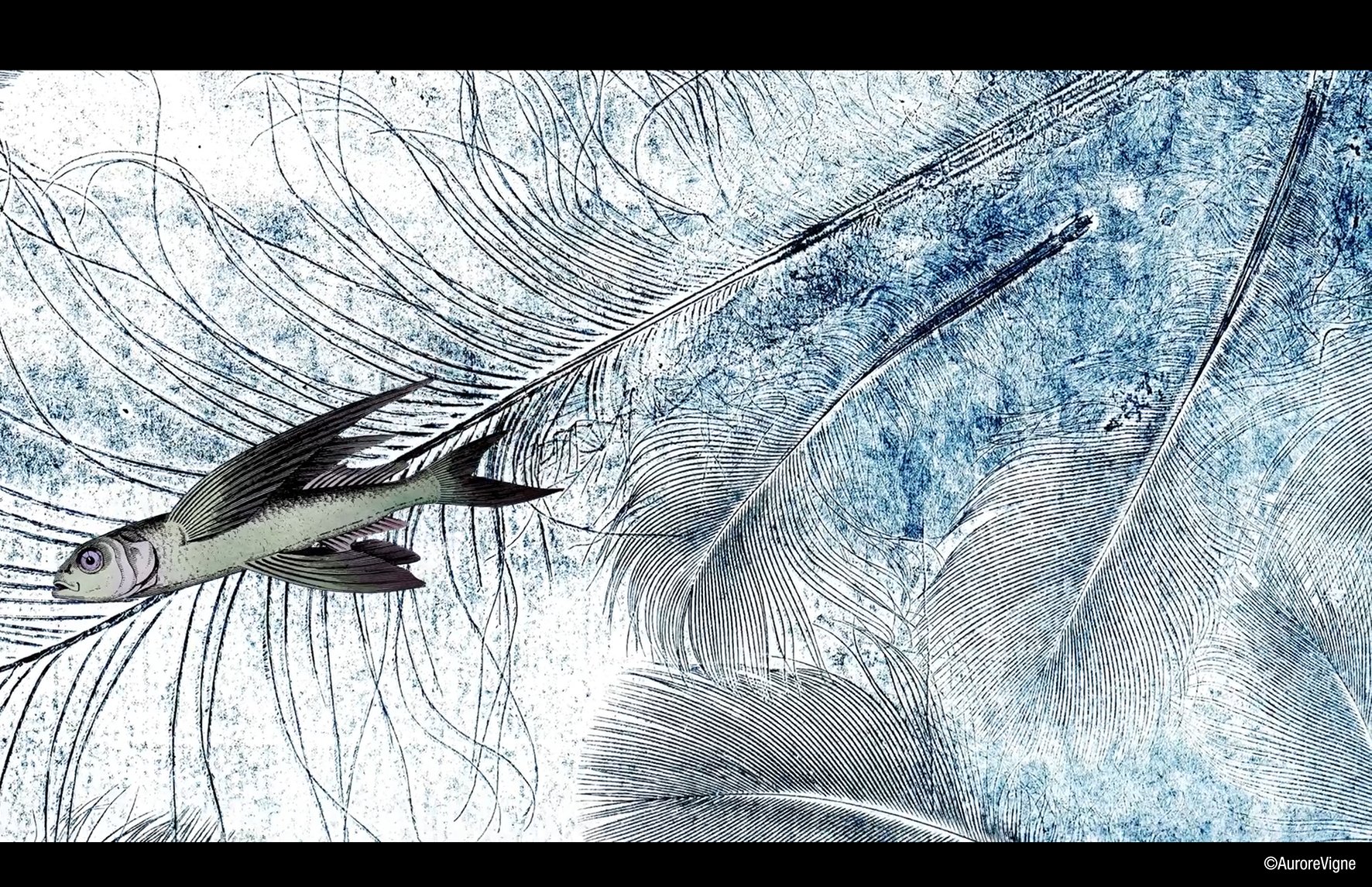 Extract from the video clip of the single "Weightless" for Stephane Nestel. Animated by ©AuroreVigne