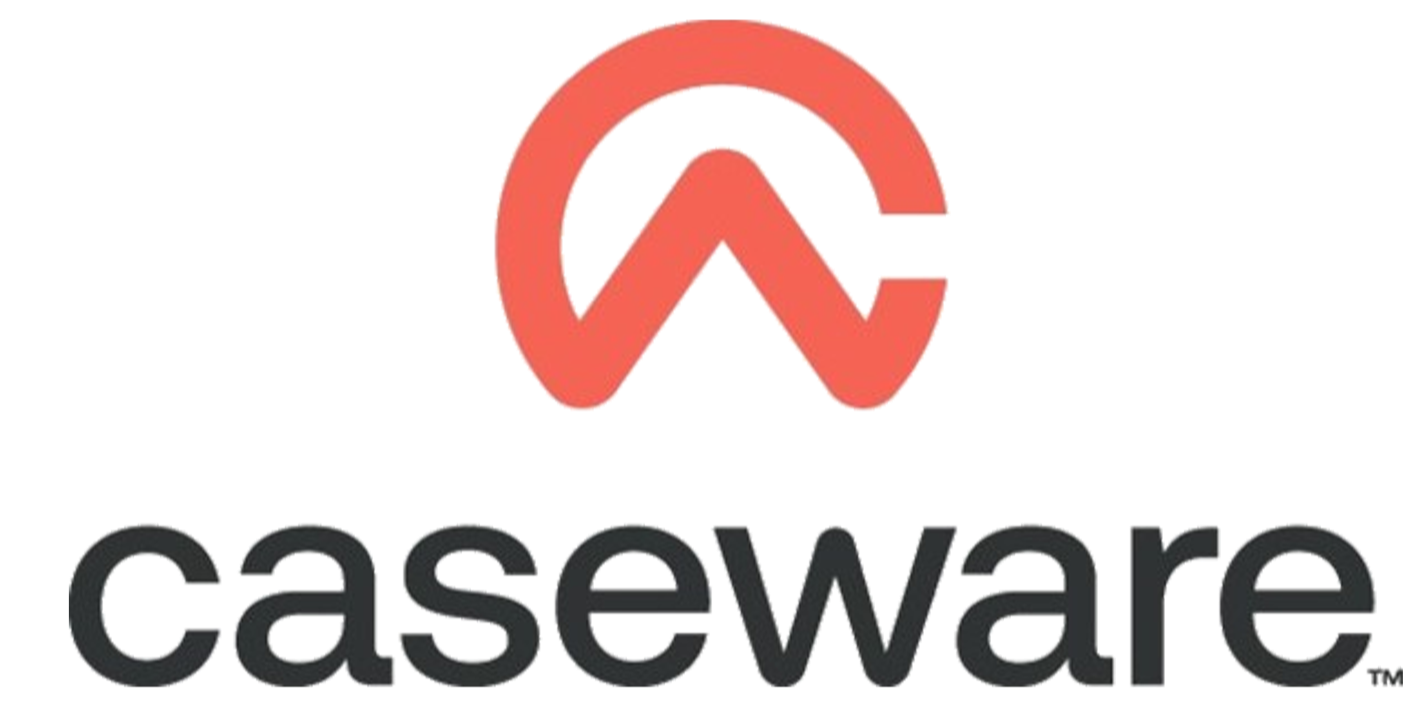 Caseware%2B2.png