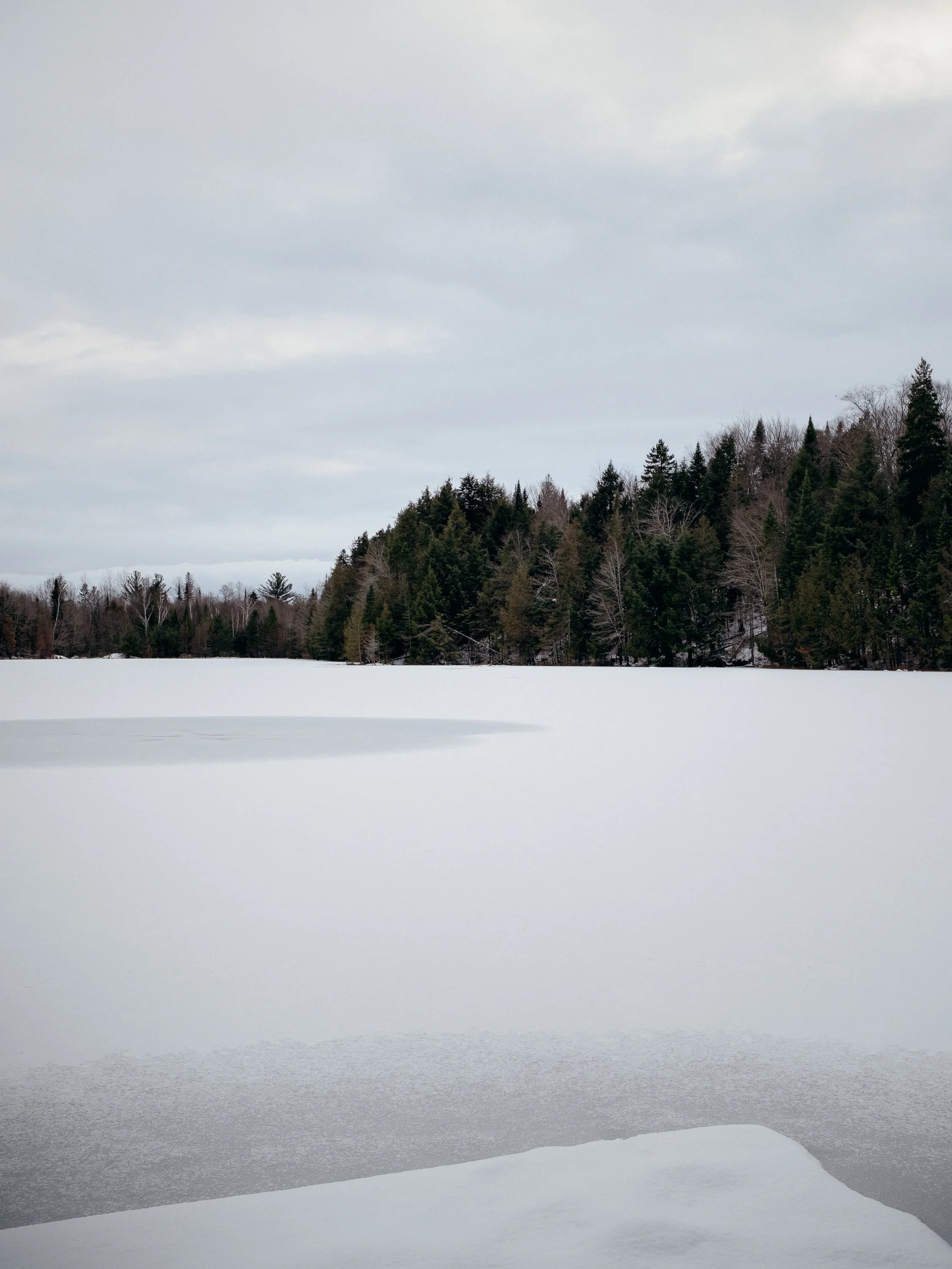 MaisonDuLacPerdu_RHA_©FelixMichaud_4878_web.jpg