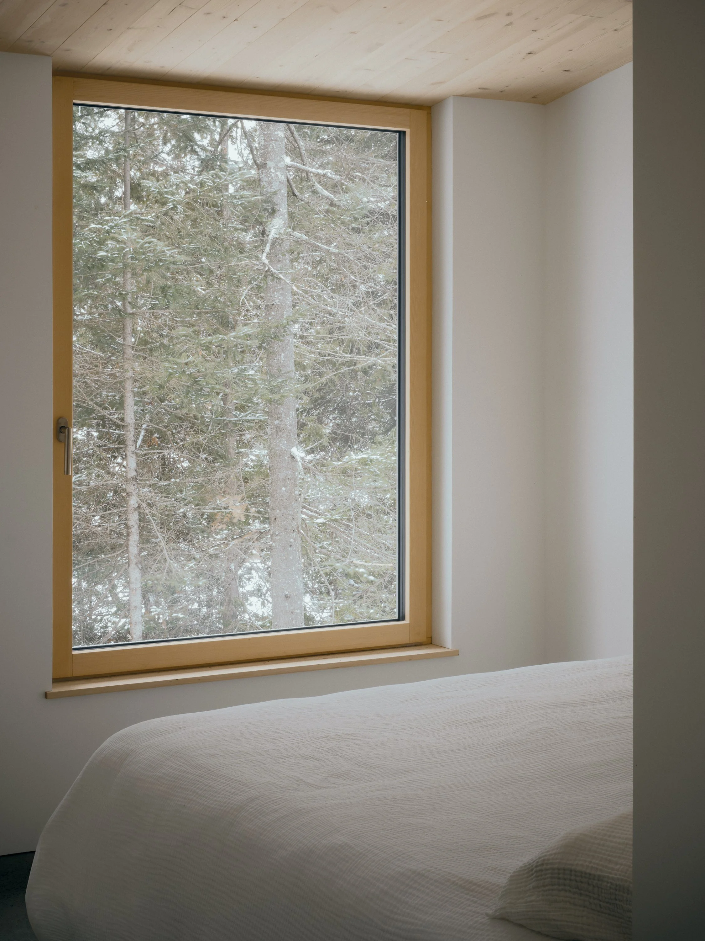 MaisonDuLacPerdu_RHA_©FelixMichaud_5309_web.jpg