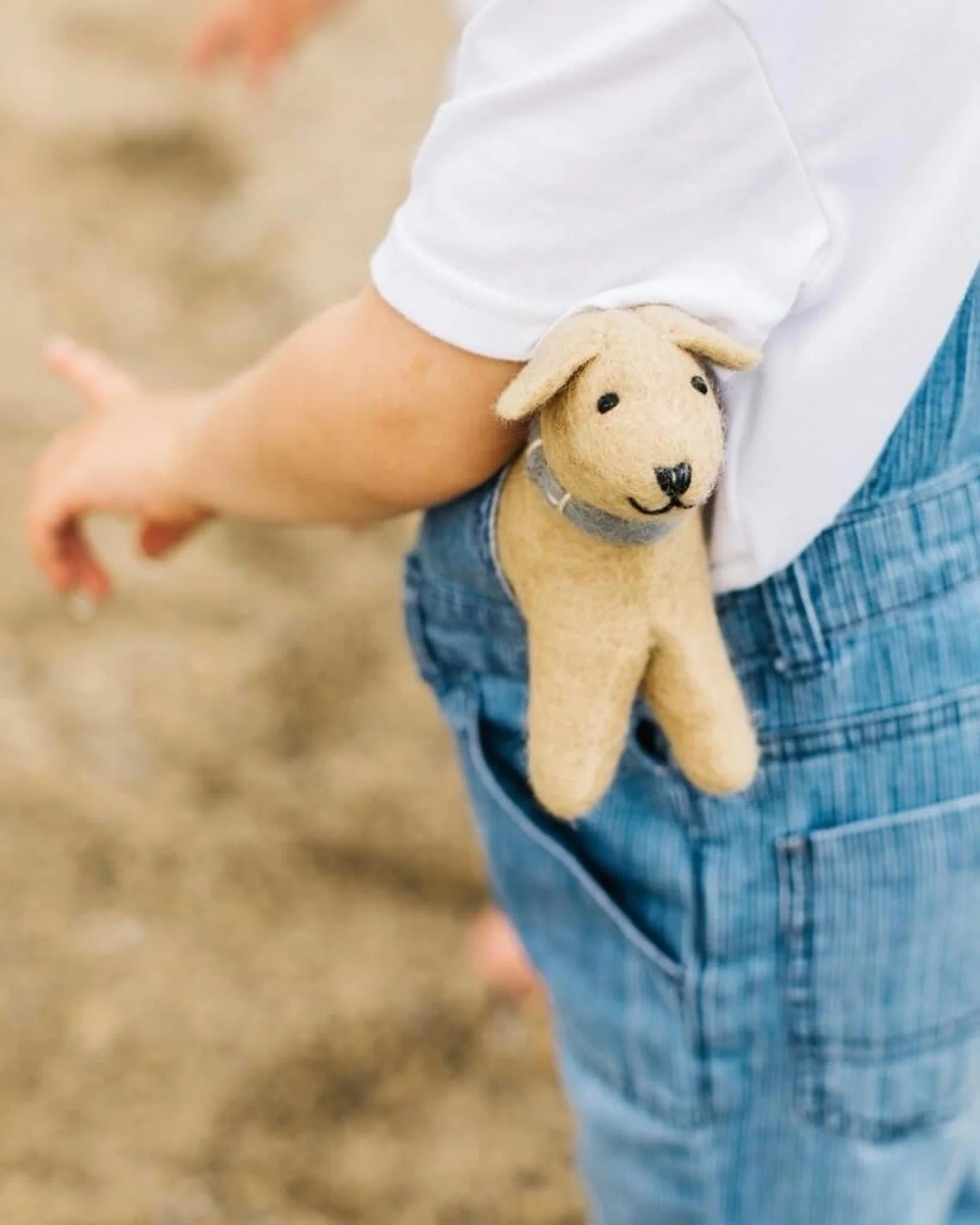 New kids toys have arrived at Mitrebox! Meet Hopper, Raf, and Manny, our magnetic friends perfect for a hug or handshake. Or for our softies, meet our felted furry friends from Mulxiply. As a desk pet, or a new toy that's bound to be taken everywhere