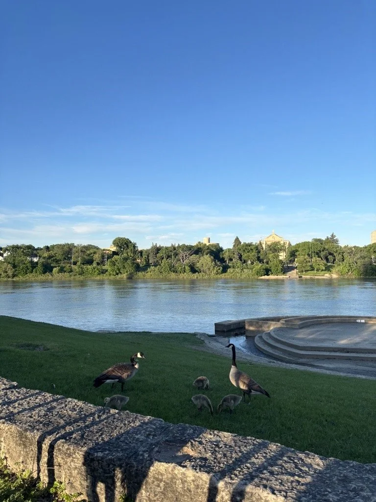 Learn about Waterways 