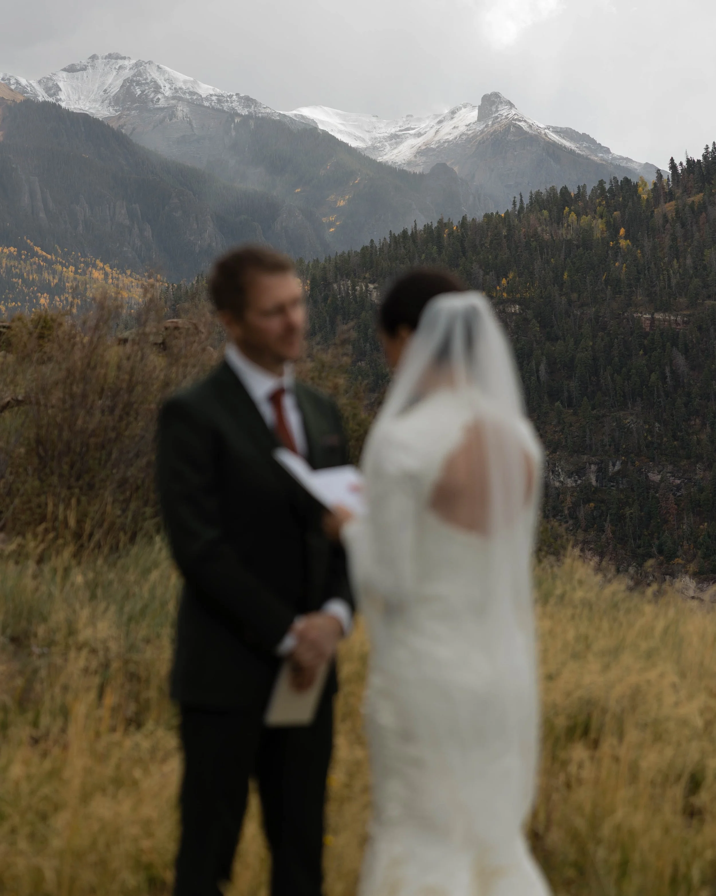 A bride and groom exchanging vows outdoors in a mountainous landscape with snow-capped peaks and forested hills in the background.
