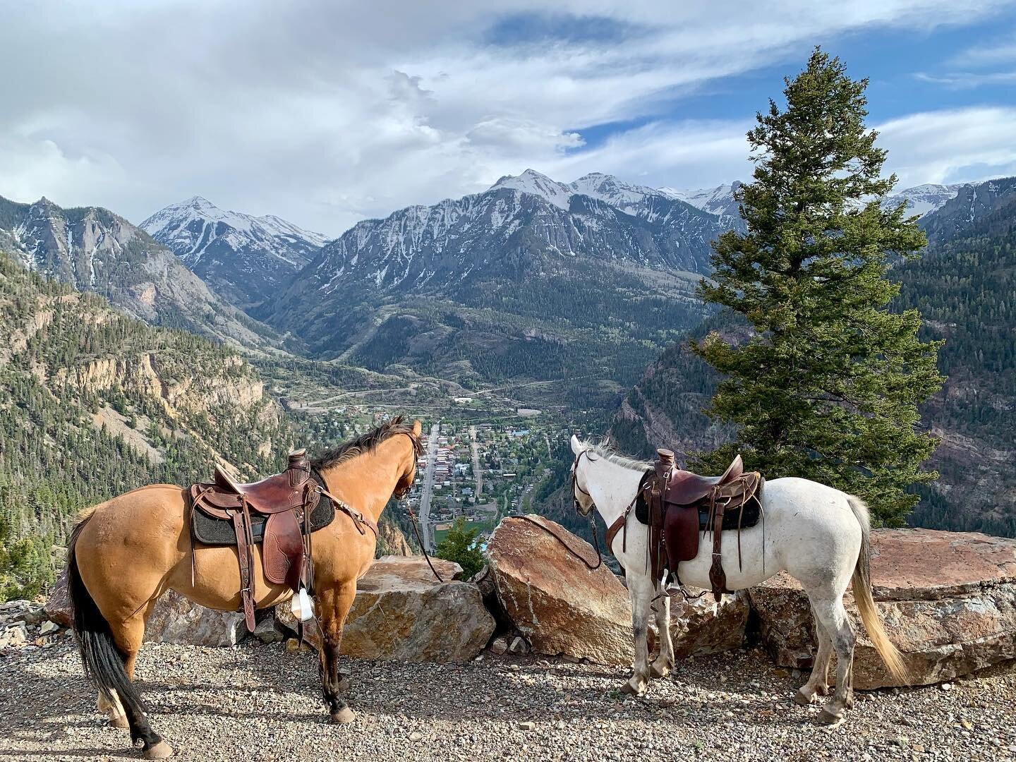 It&rsquo;s always nice to have neighbors who like to ride. Thanks Action Adventures Guide Outfitter, LLC for bringing up some more horses to explore the Gold Mountain Property just like the the Old Timers did over 100 years ago. Not only is the view 