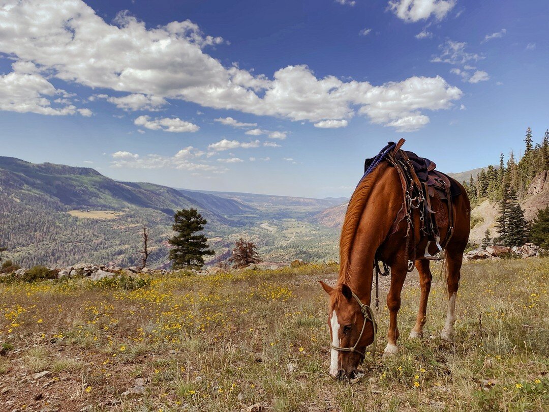 The only thing missing is you in the saddle... 

Action Adventures Trail Rides at Gold Mountain Ranch