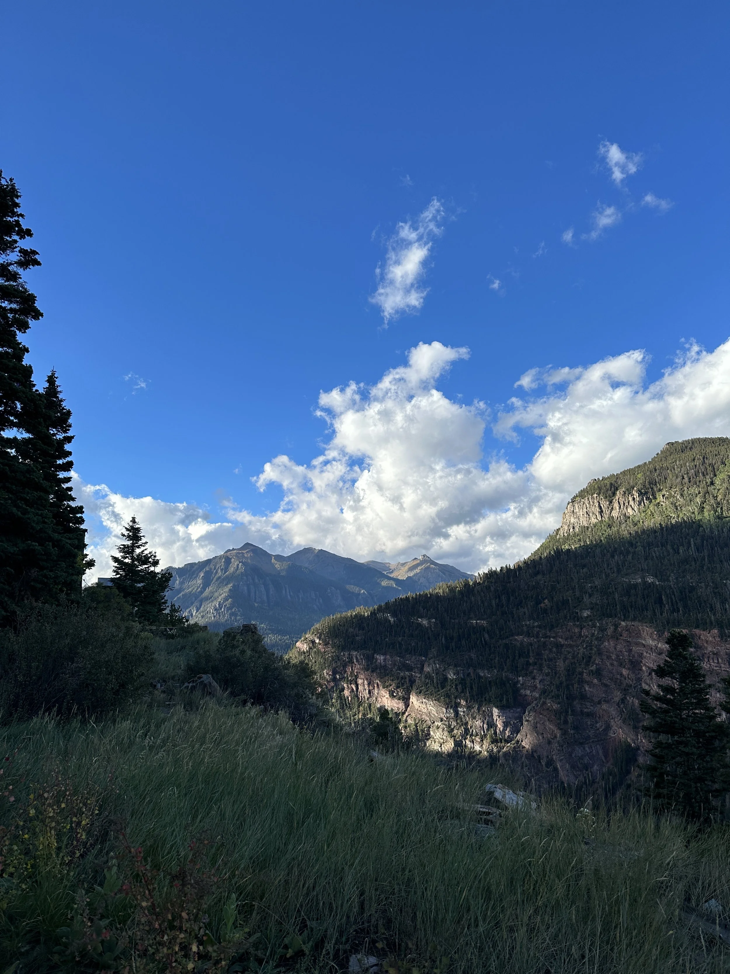 A scenic mountain landscape with tall evergreen trees in the foreground, rugged mountains in the background, and a partly cloudy blue sky.
