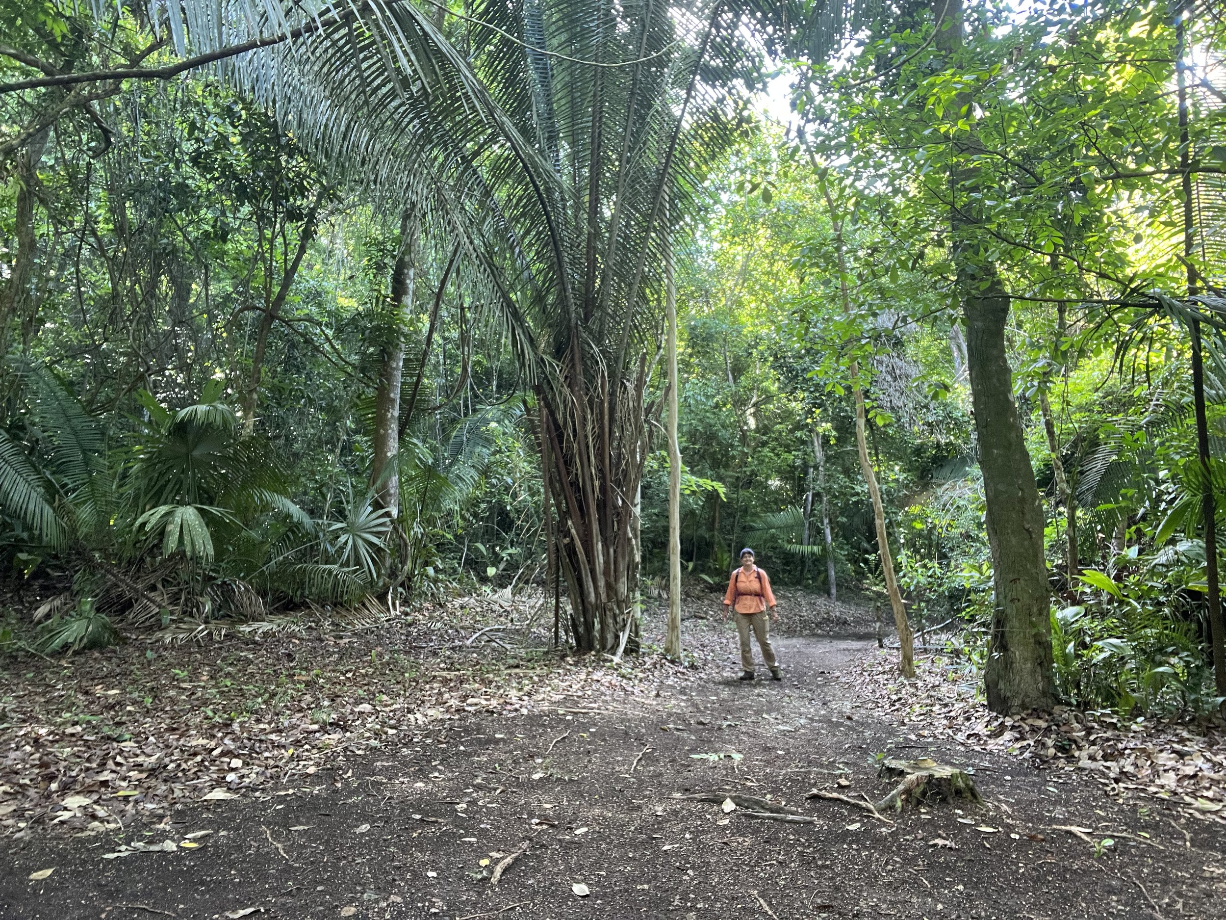Woman standing next to tall trees on a trail, she is wearing an orange shirt and khaki pants
