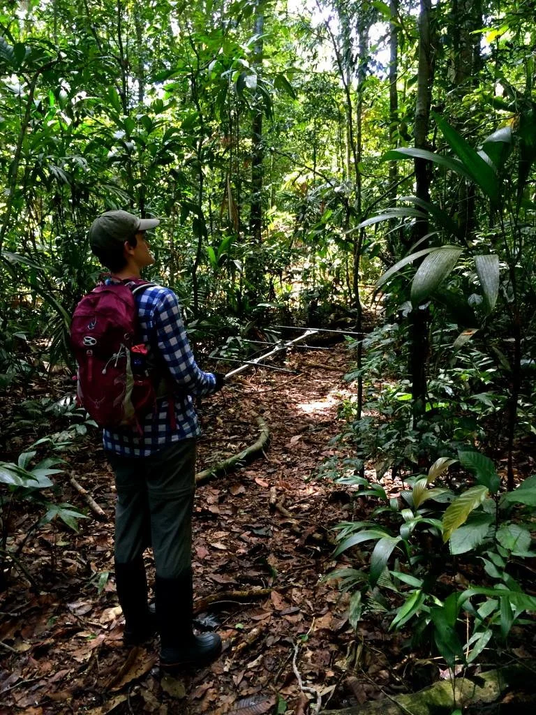 Using a telemeter in Peru
