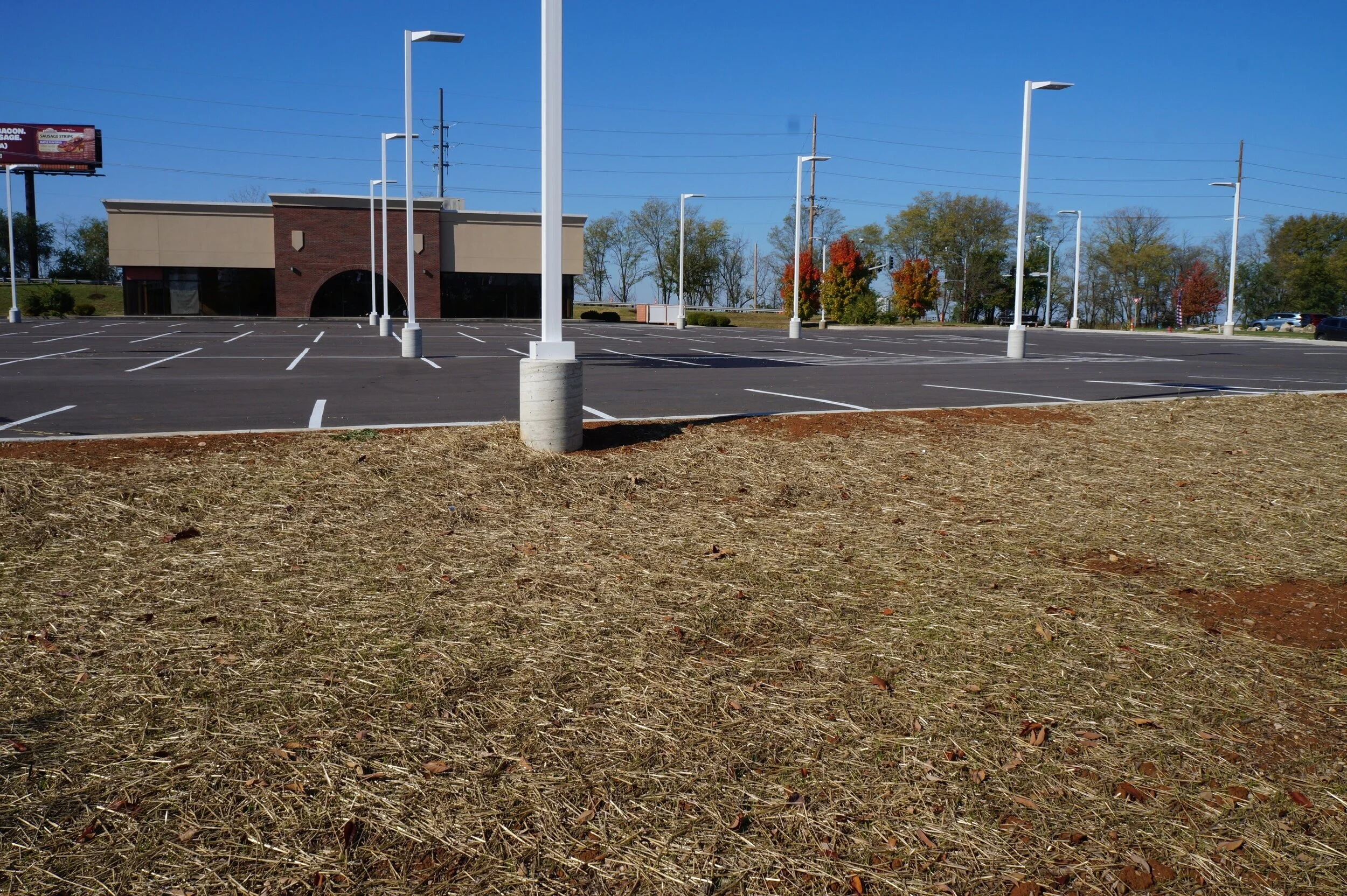 DSC09526.jpg