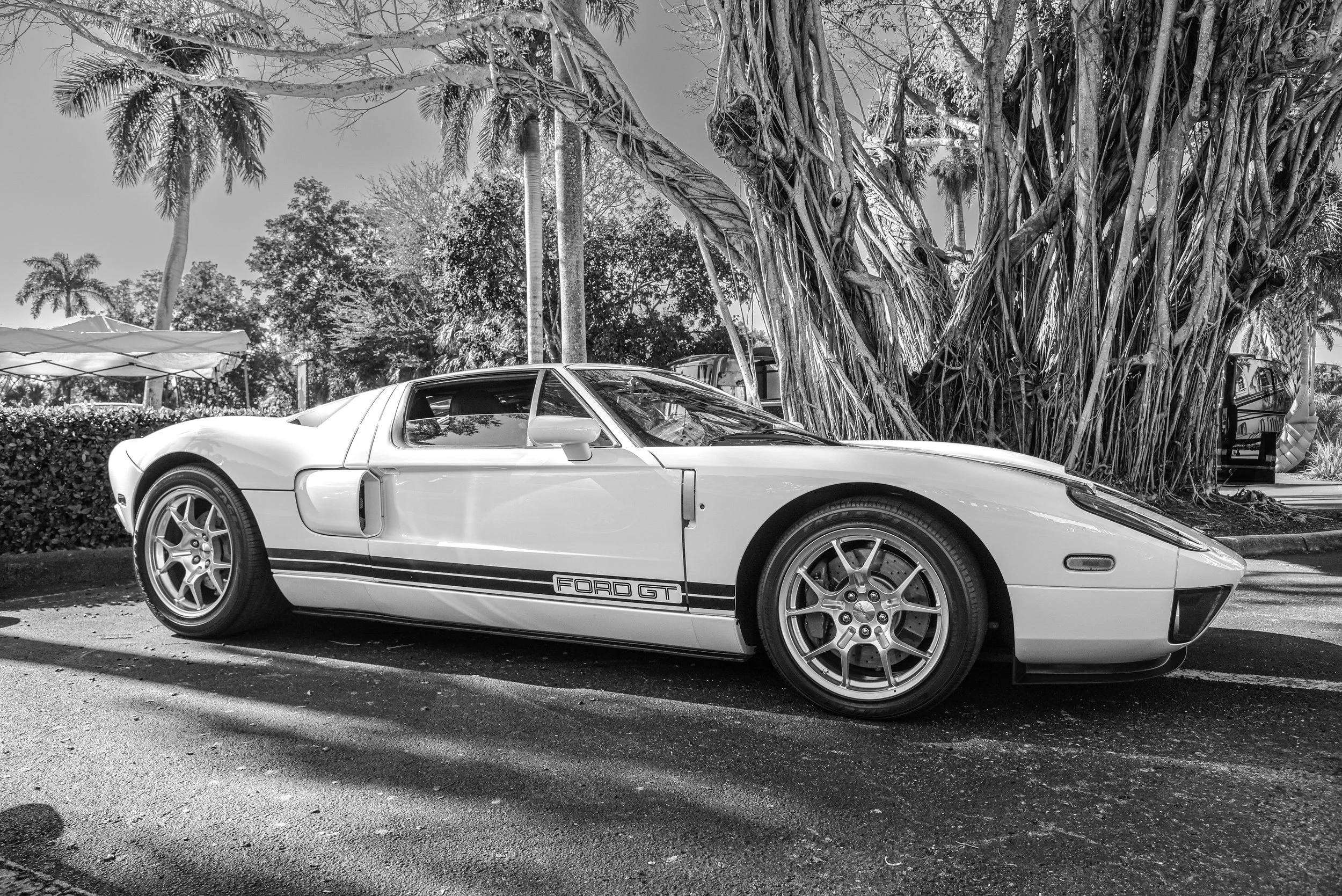Ford GT B-W.jpg