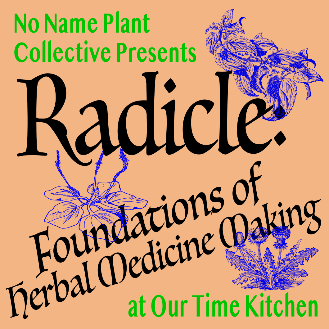 Radicle: Foundations of Herbal Medicine - Part 4