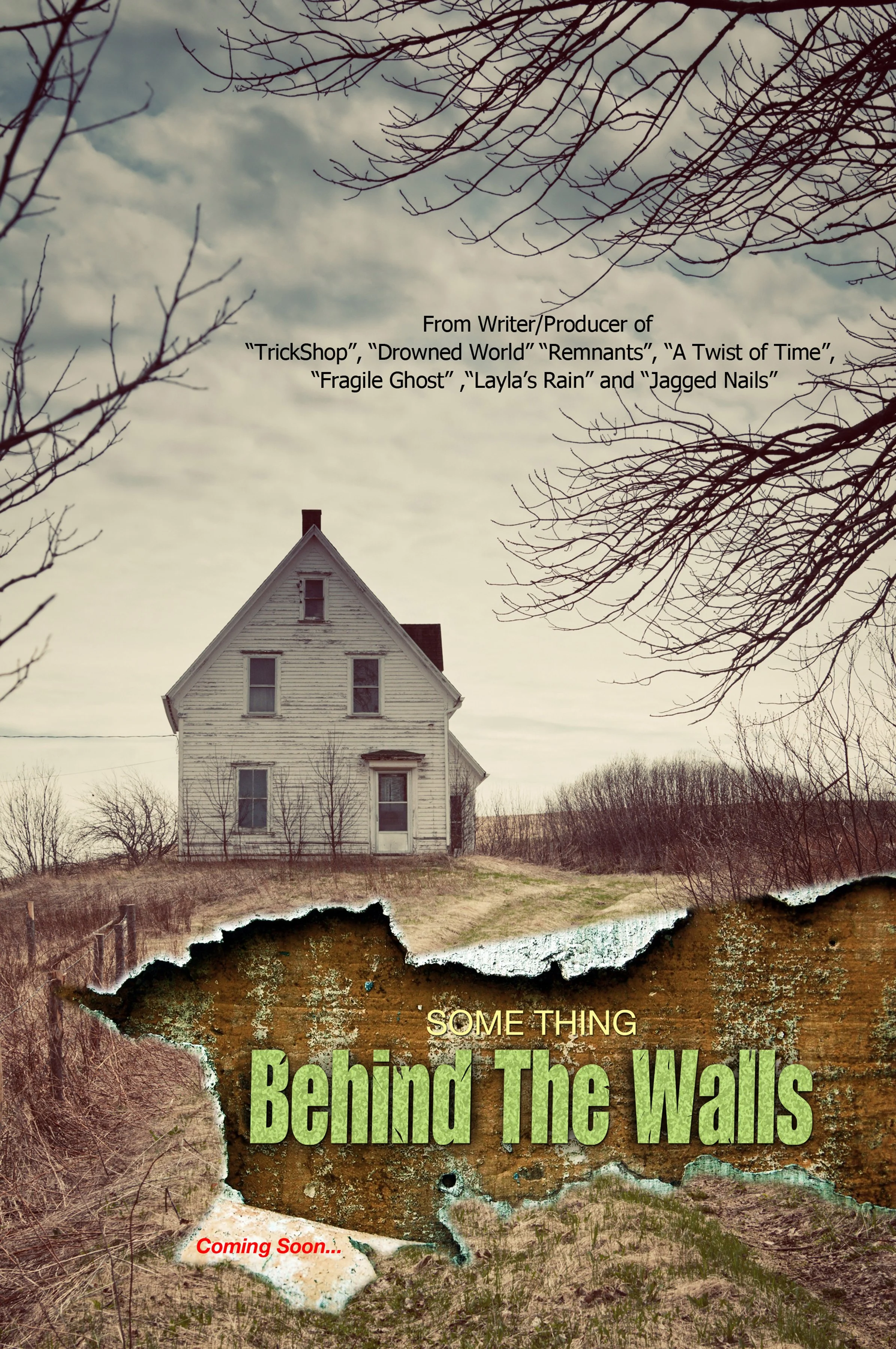 something-behind-the-walls-tt12524020.jpg