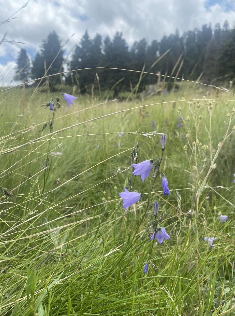 Screenshot 2026-04-10 at 10.59.03 AM.png