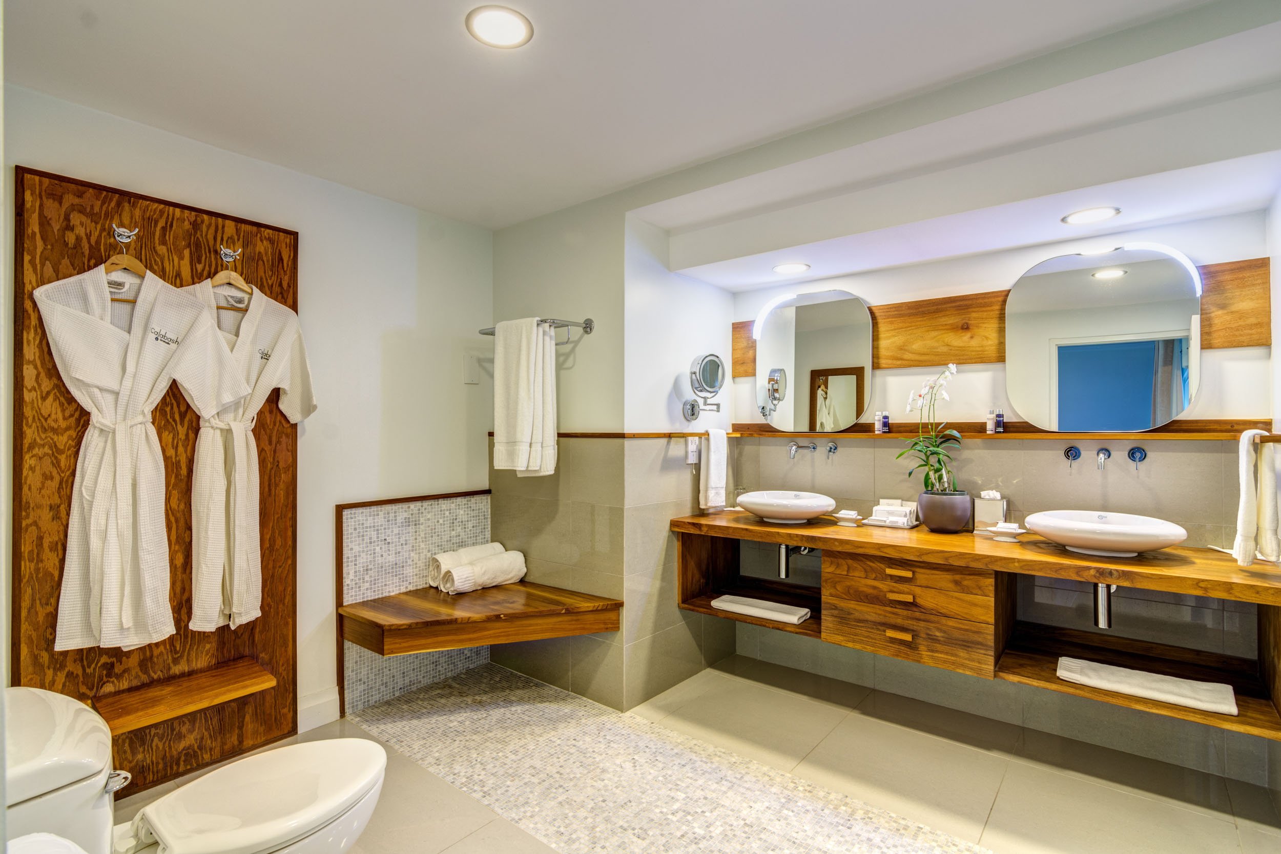 Pool Suite Bathroom 3.jpg