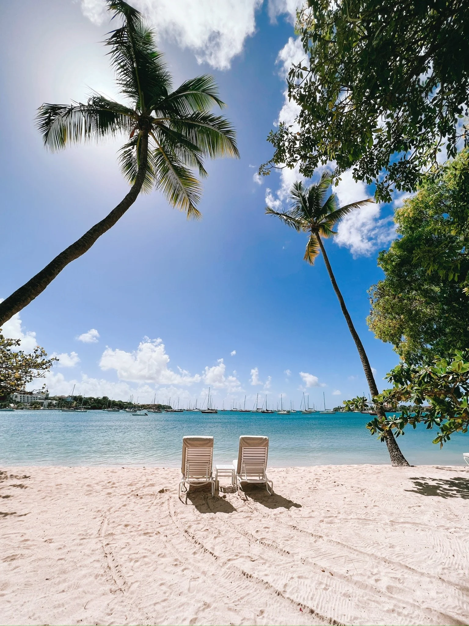 'Superb in every way'