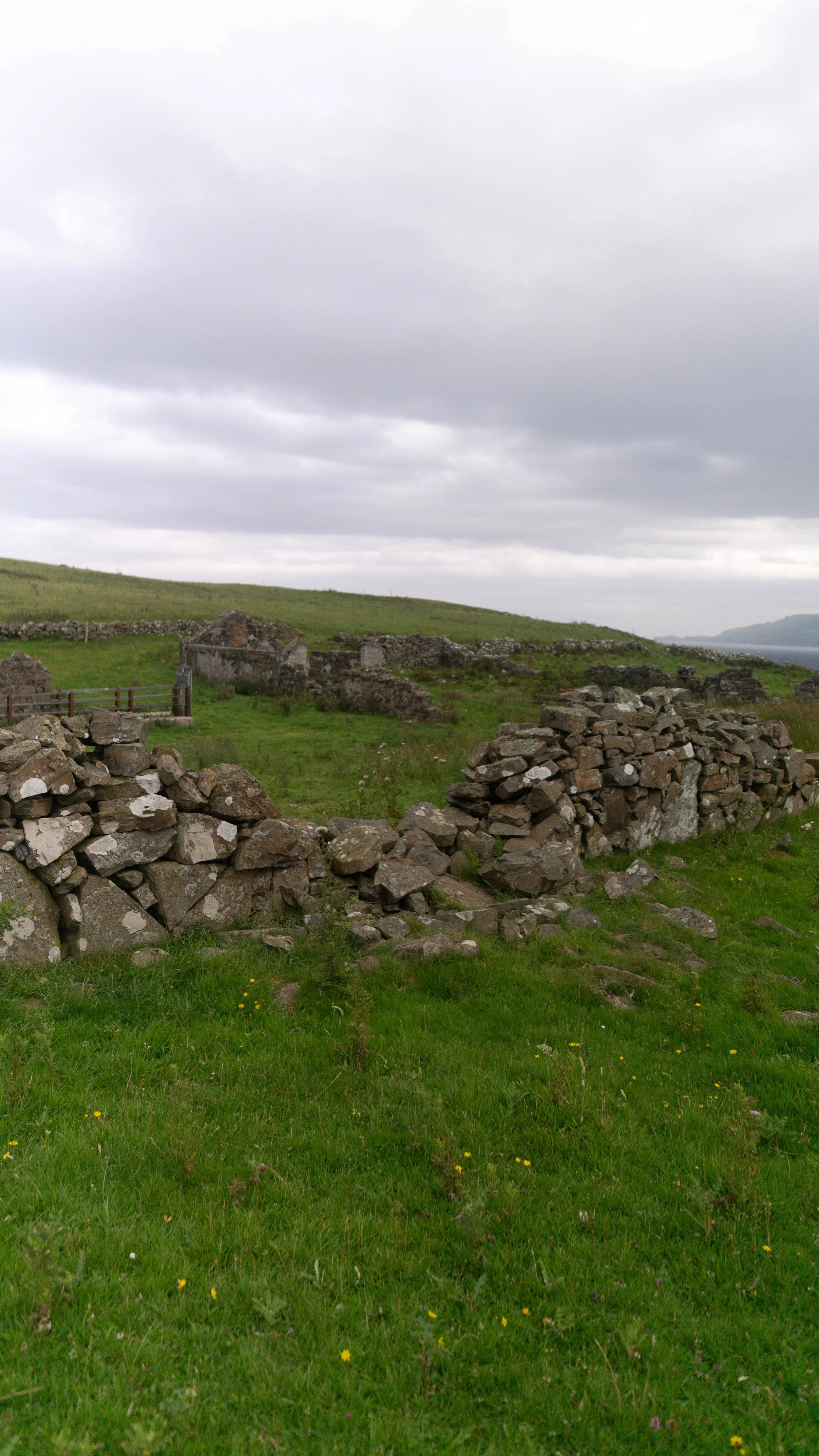 Rathlin-16.jpg