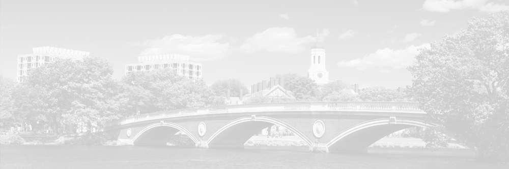 Cambridge visual data 2