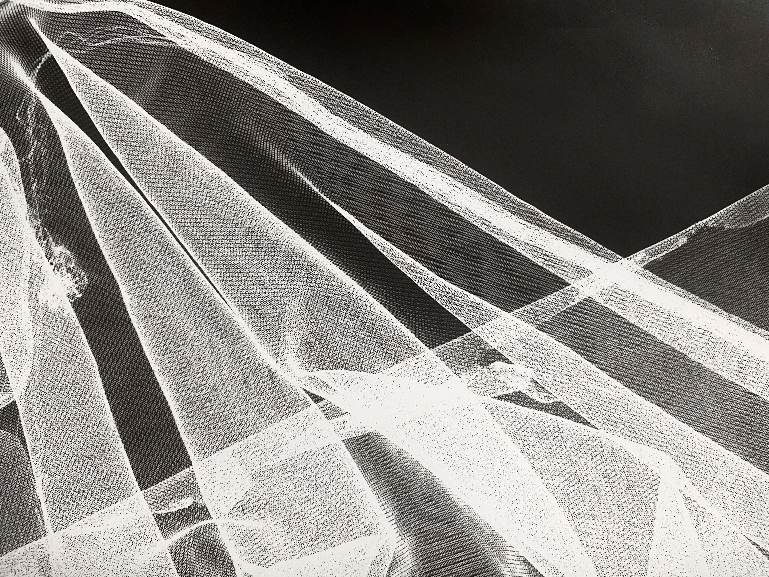 fabric_b&w.JPG