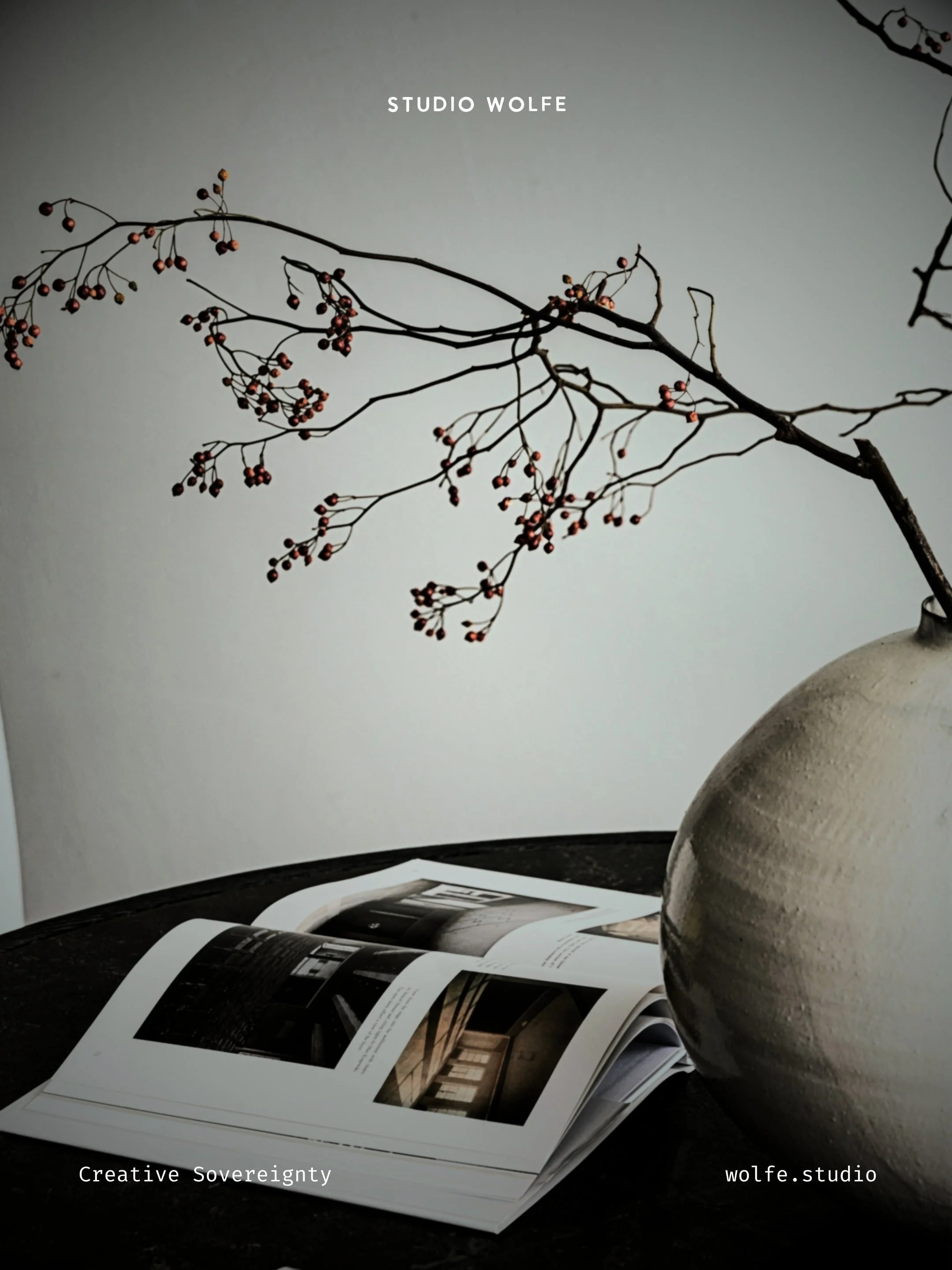 Open book on a dark table beside a large ceramic vase, with bare branches and small berries extending across a pale wall.