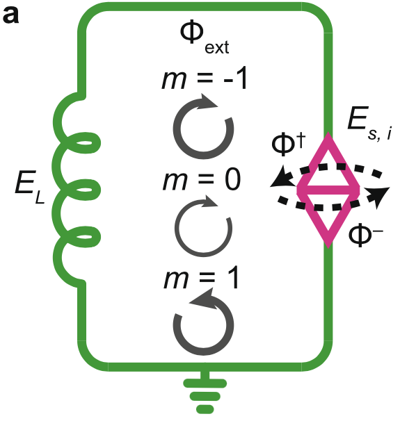 Cheeranjeev’s paper published in Nature Comms