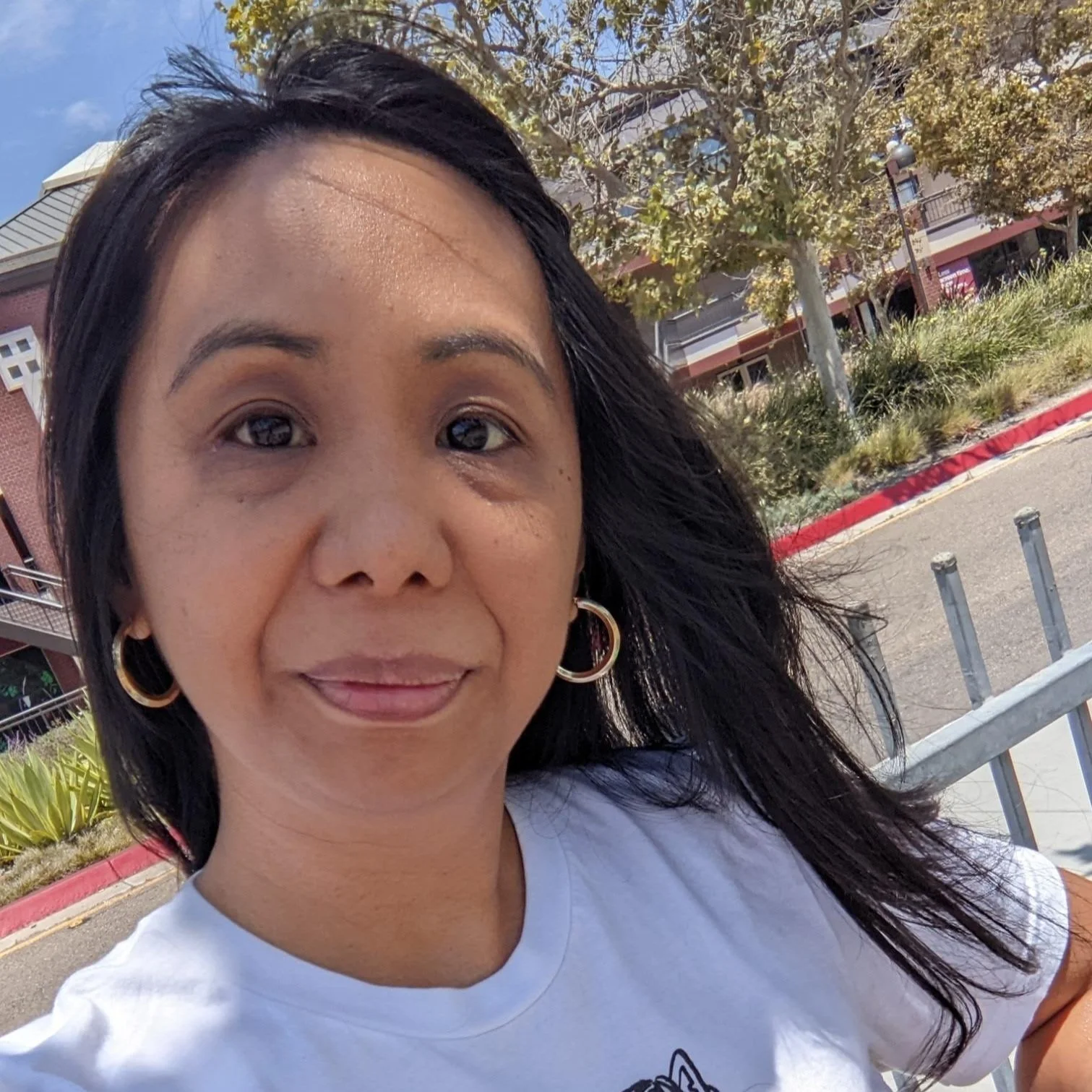 Christine Pasalo Norland