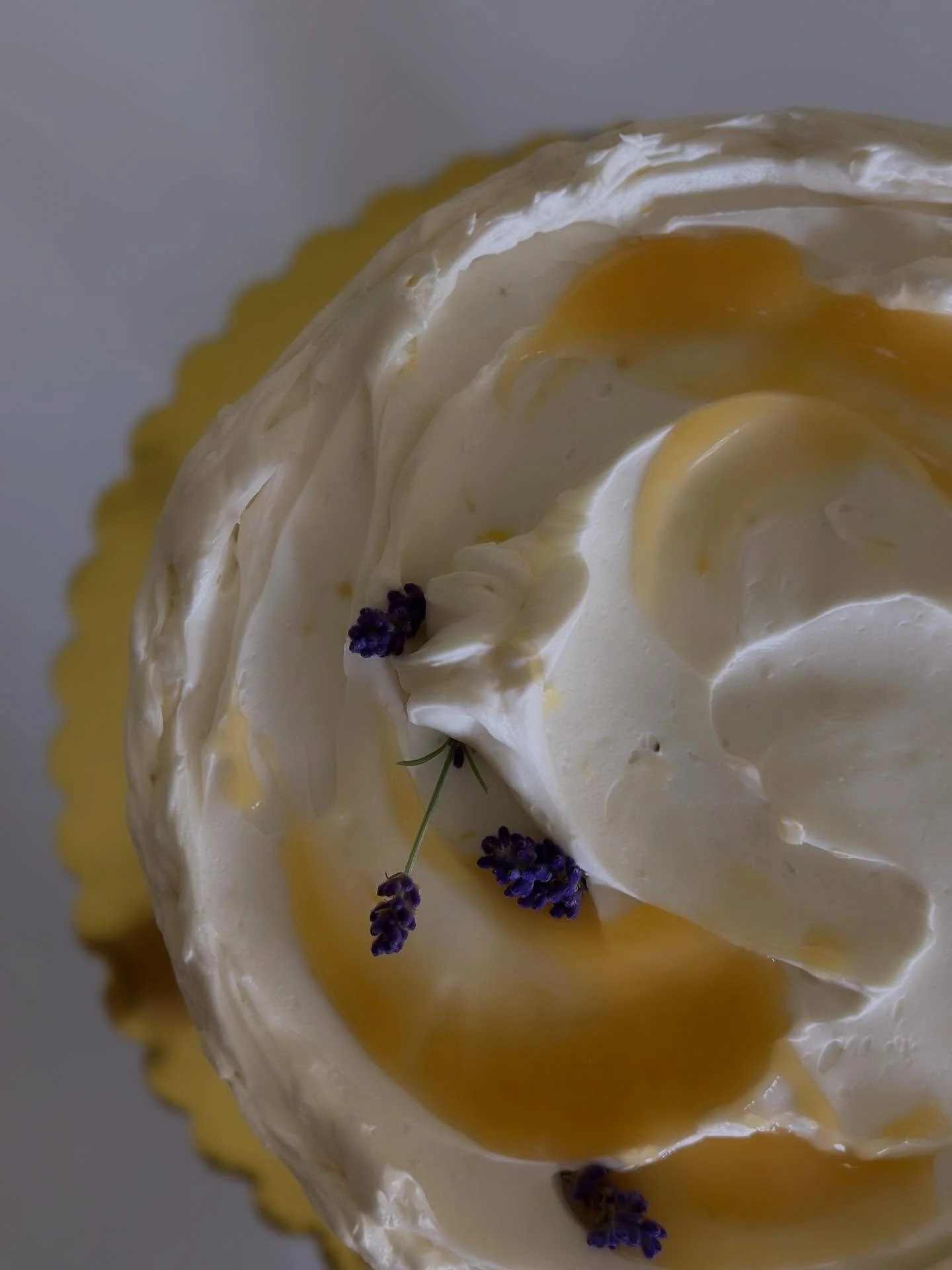 how are we?! i miss you 💜