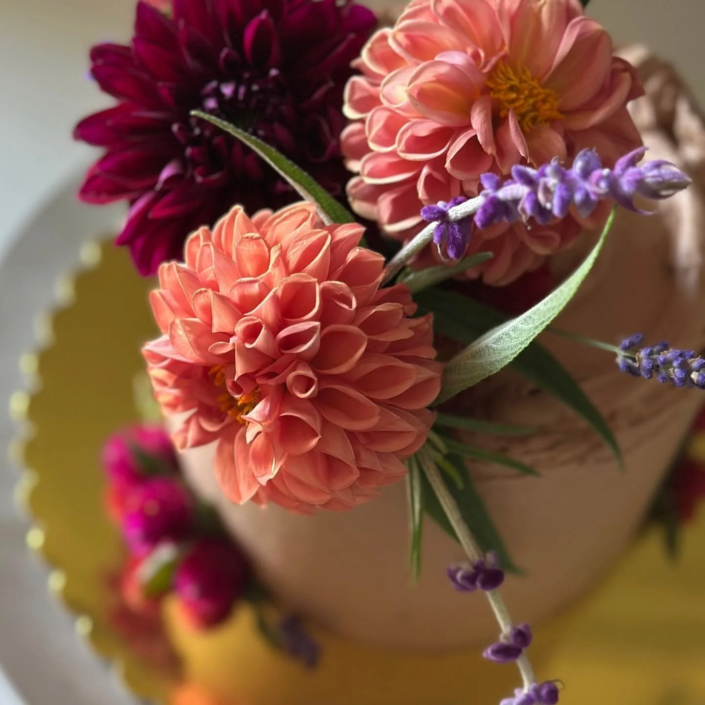 Hi, my beauties!! I'm baking cakes, dialing in the Thanksgiving menu, lining up holiday pop-ups, setting up my @hotplate storefront (more coming on that!), working on a new logo/vibes, adding a couple new cakes to the menu- head to my website (link i