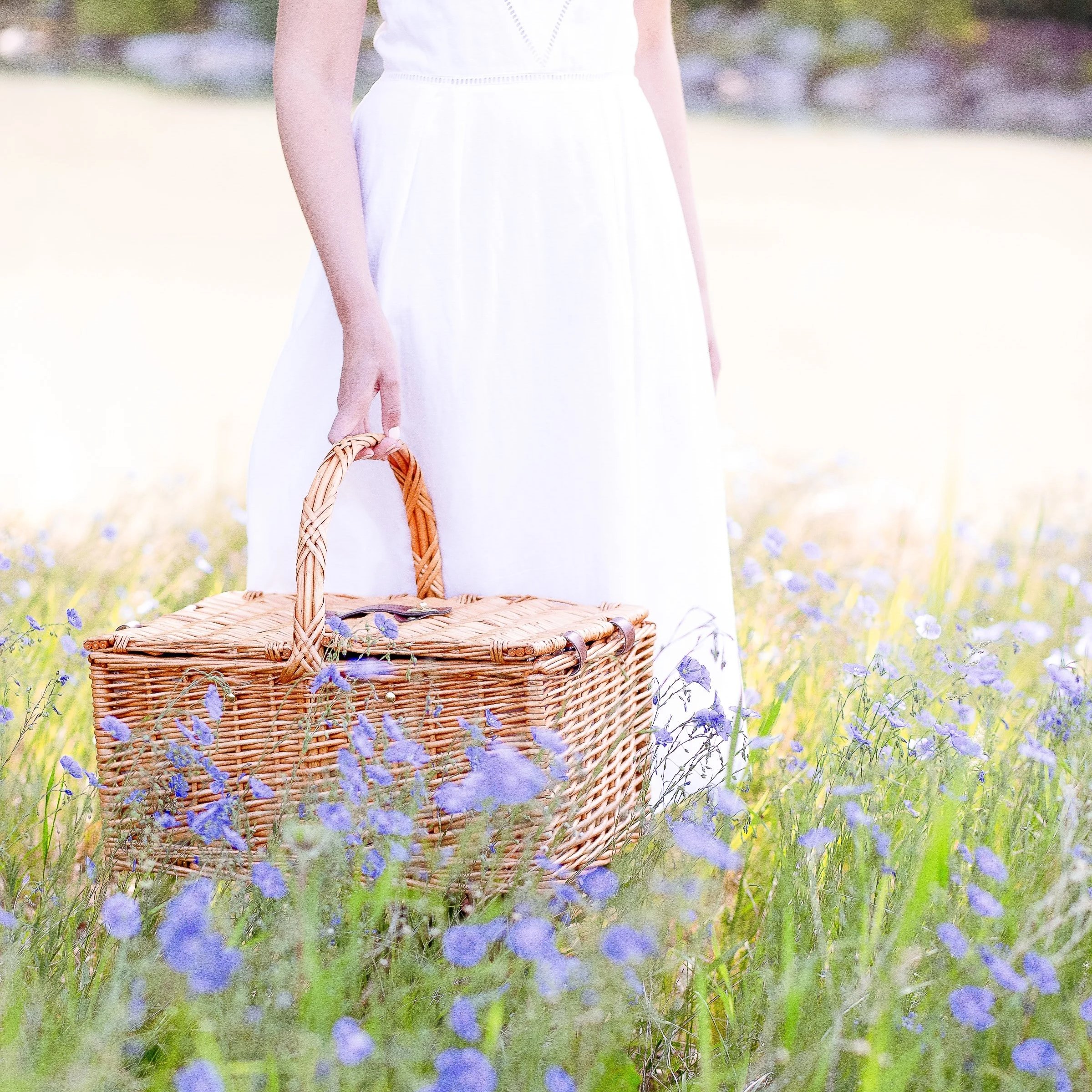 Elegant woman wearing a romantic white dress walks through a field of flowers holding a picnic basket