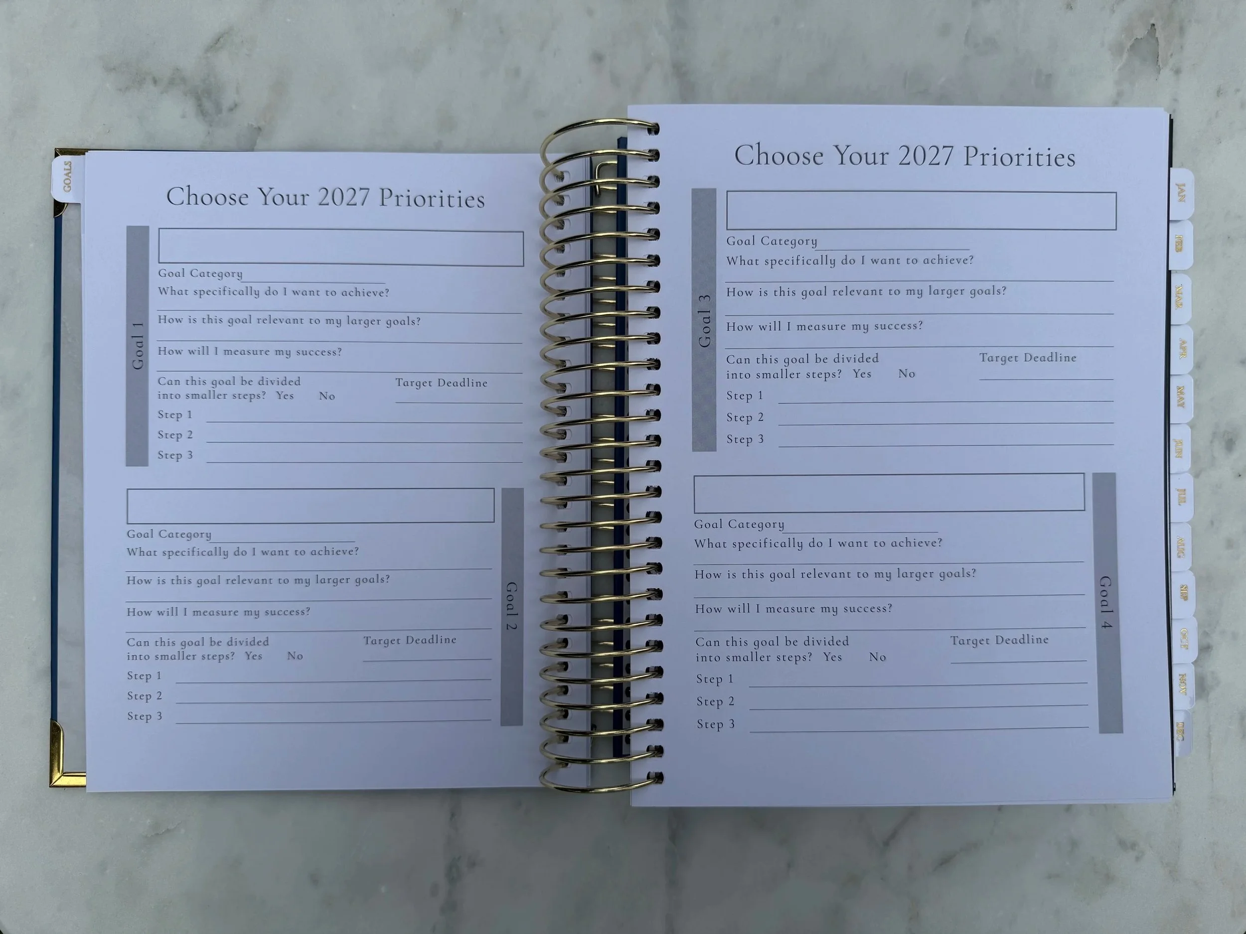 Lynx Point Planner Goal Setting Section