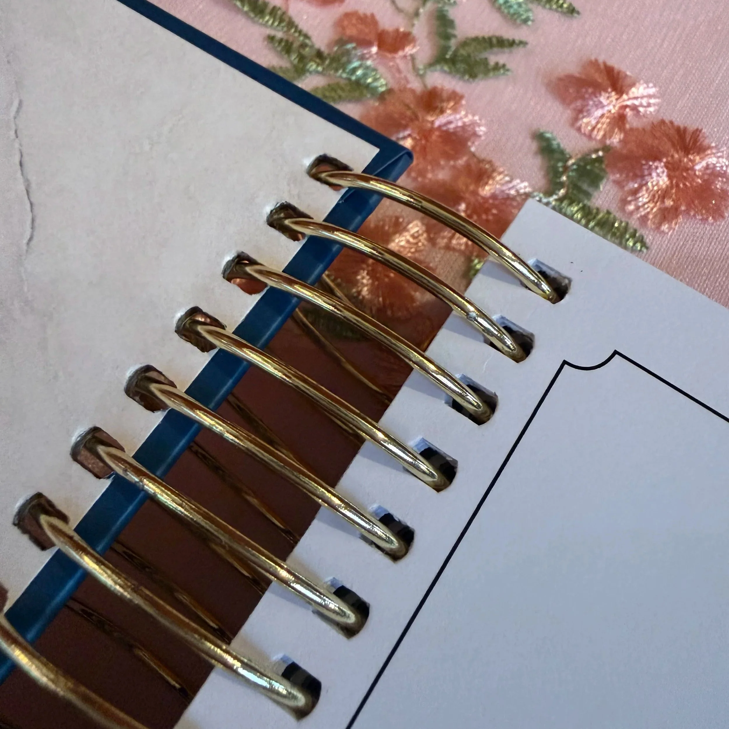 Lynx Point Planner Sneak Peak Blue