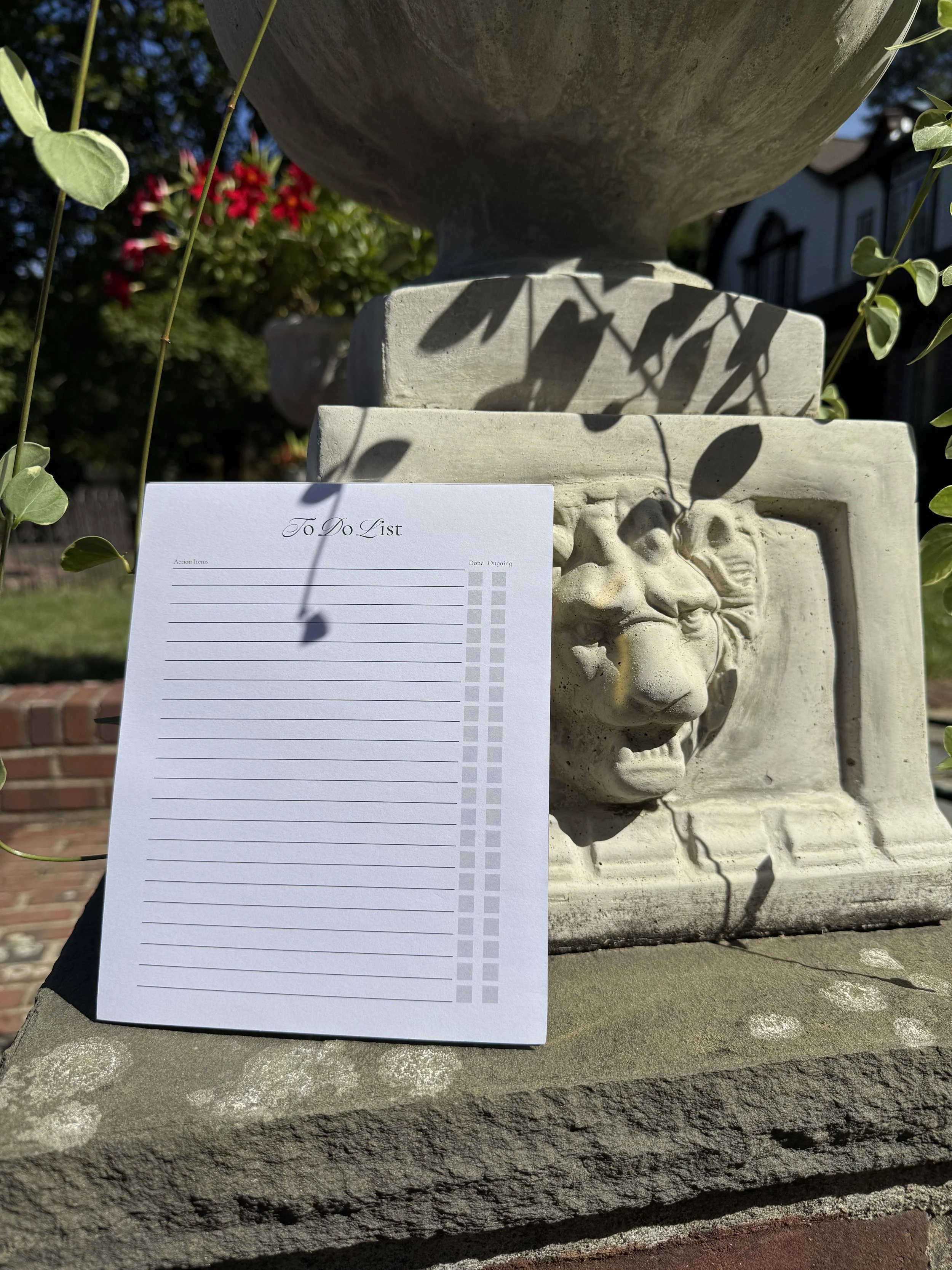 Lynx Point To Do List