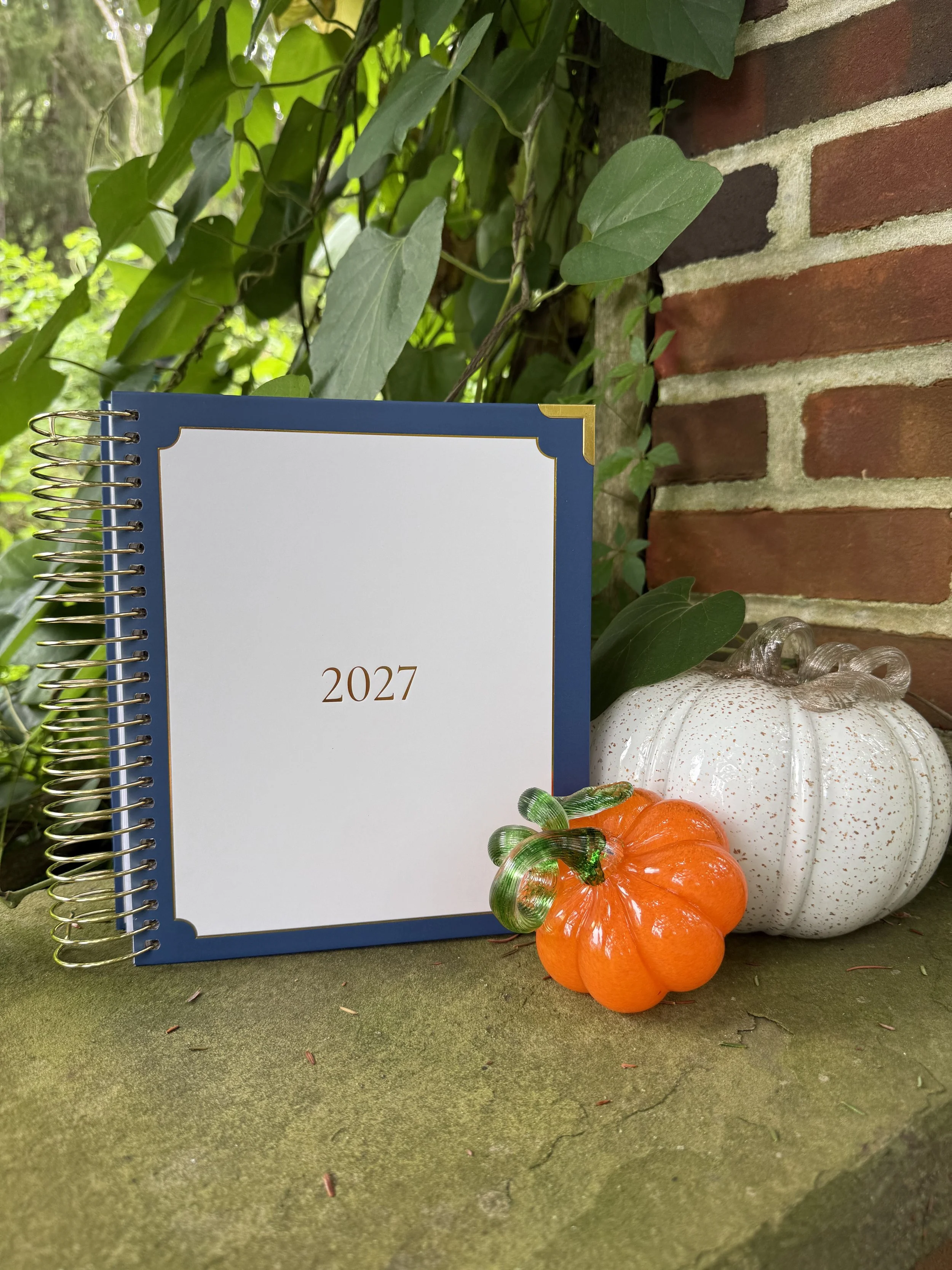 Lynx Point 2027 Blue and White Cover Planner