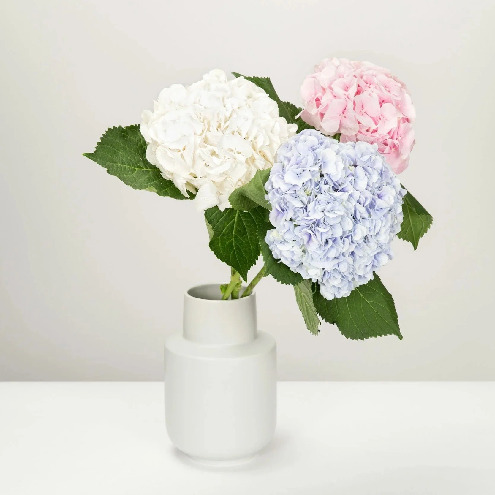 vase with three different color hydrangea flowers to signify the top three goals in one category