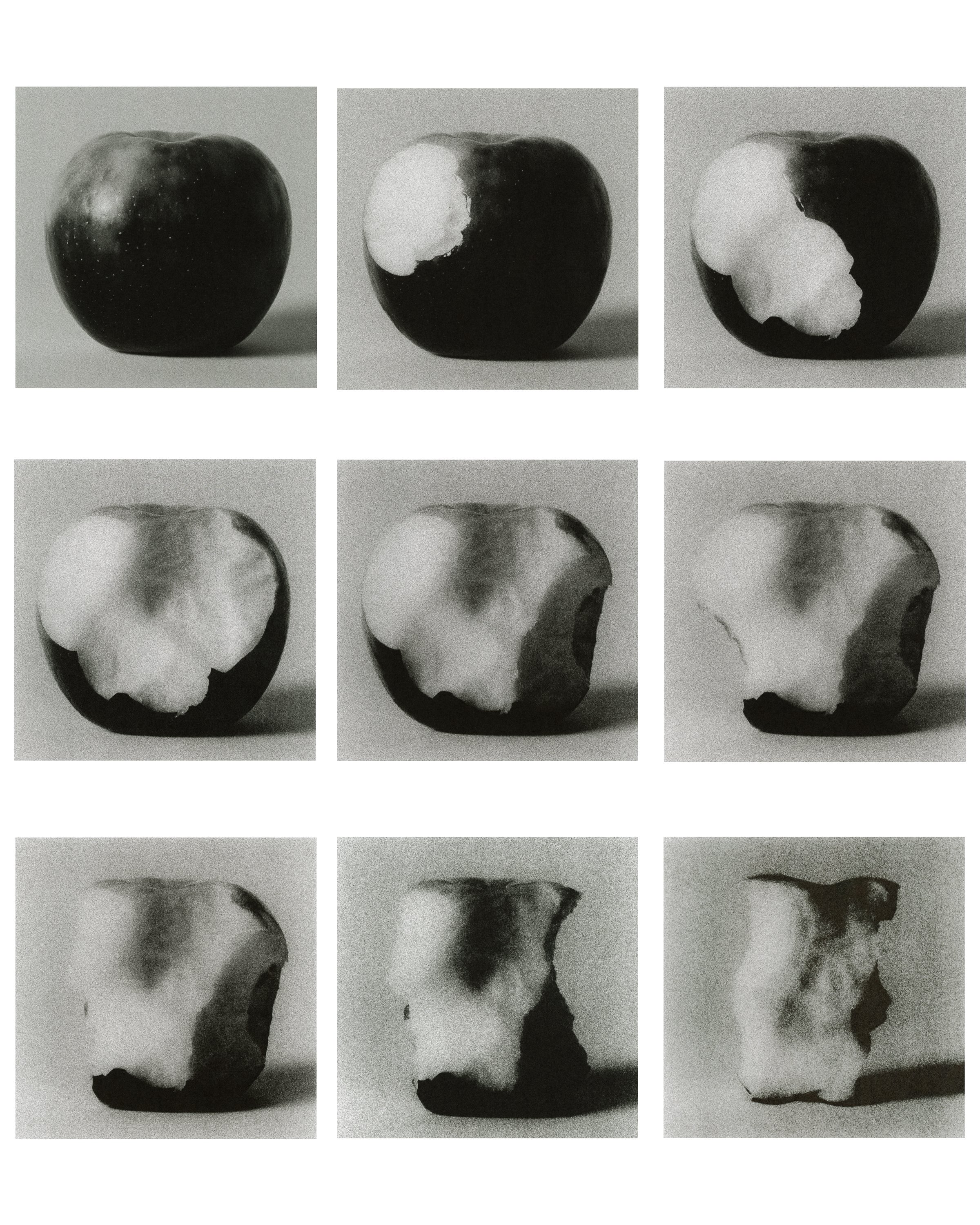 Apple Final Collage WHITE.jpg