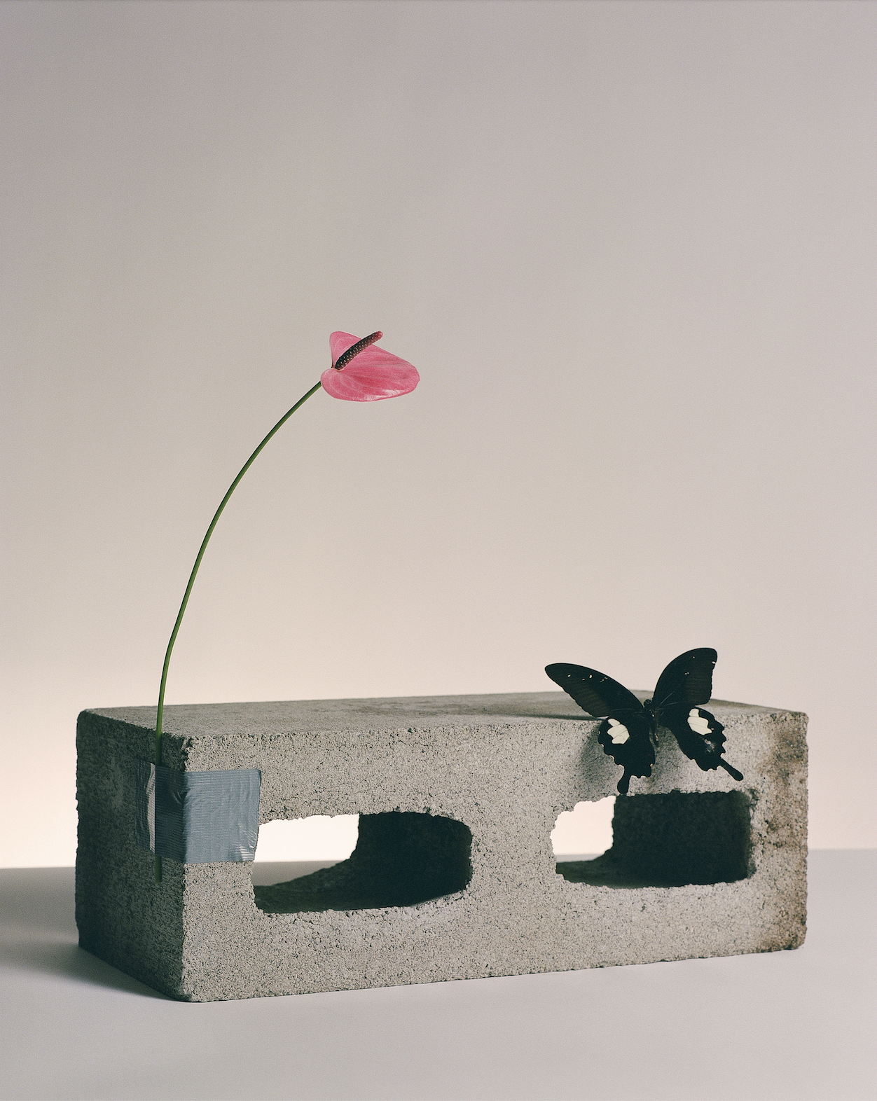 Screenshot 2026-02-17 at 6.43.58 PM.png