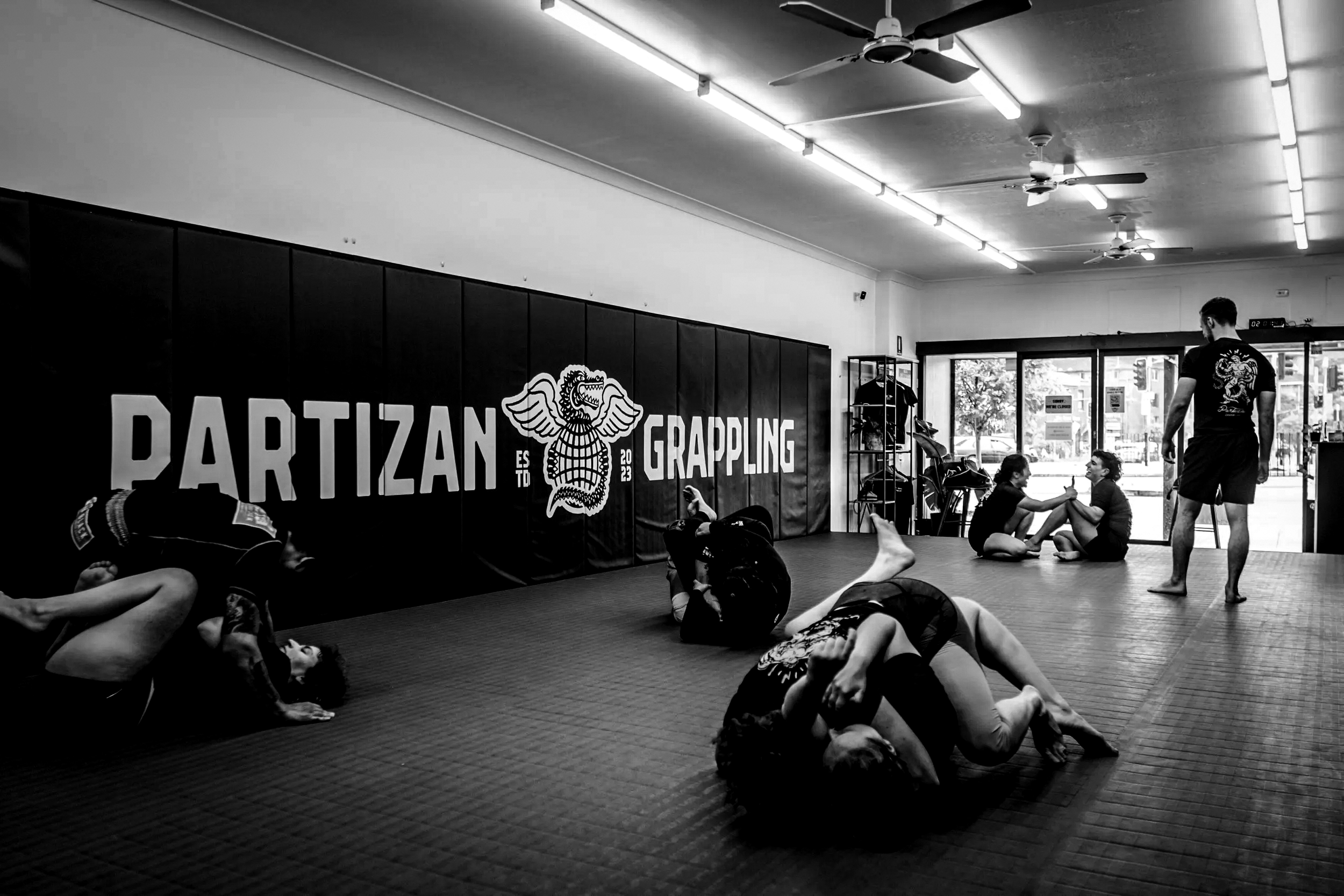 PARTIZAN GRAPPLING