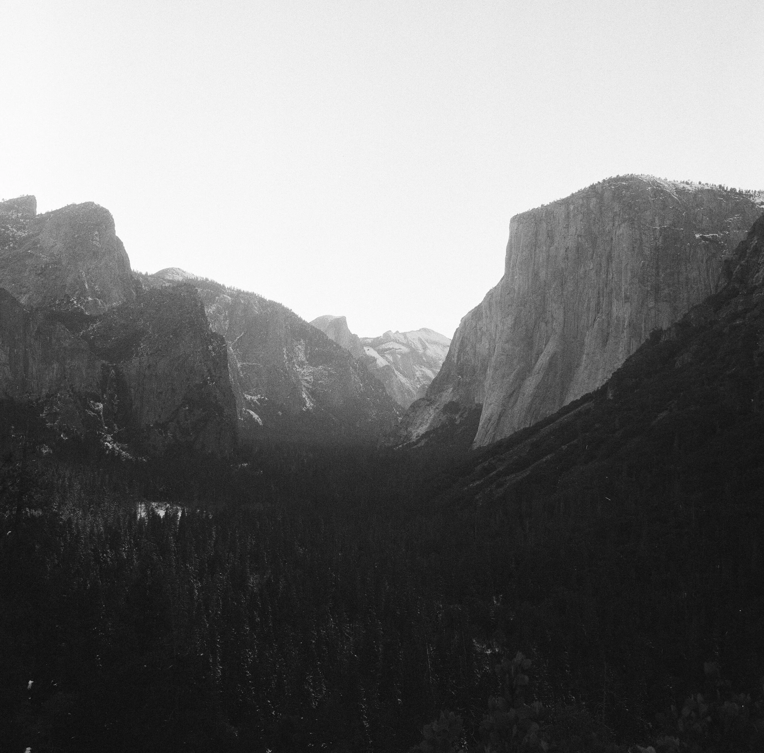 724330020008.jpg
