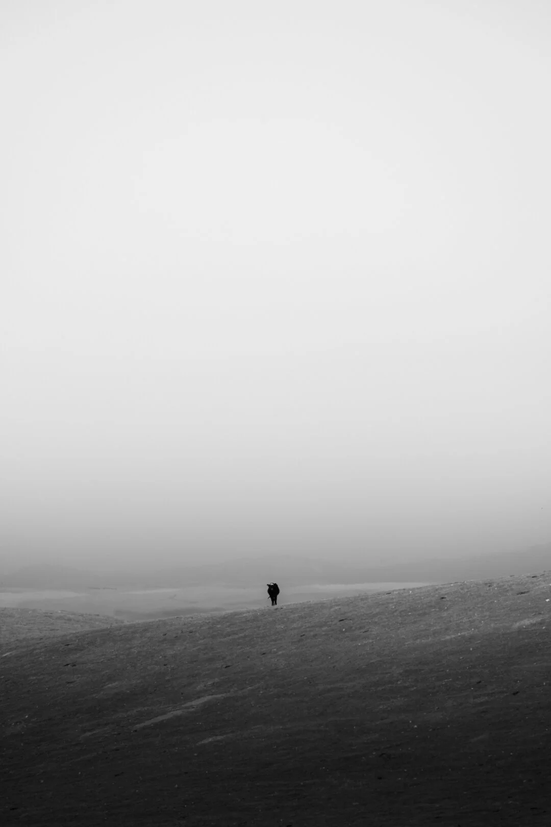 _MG_5843.jpg