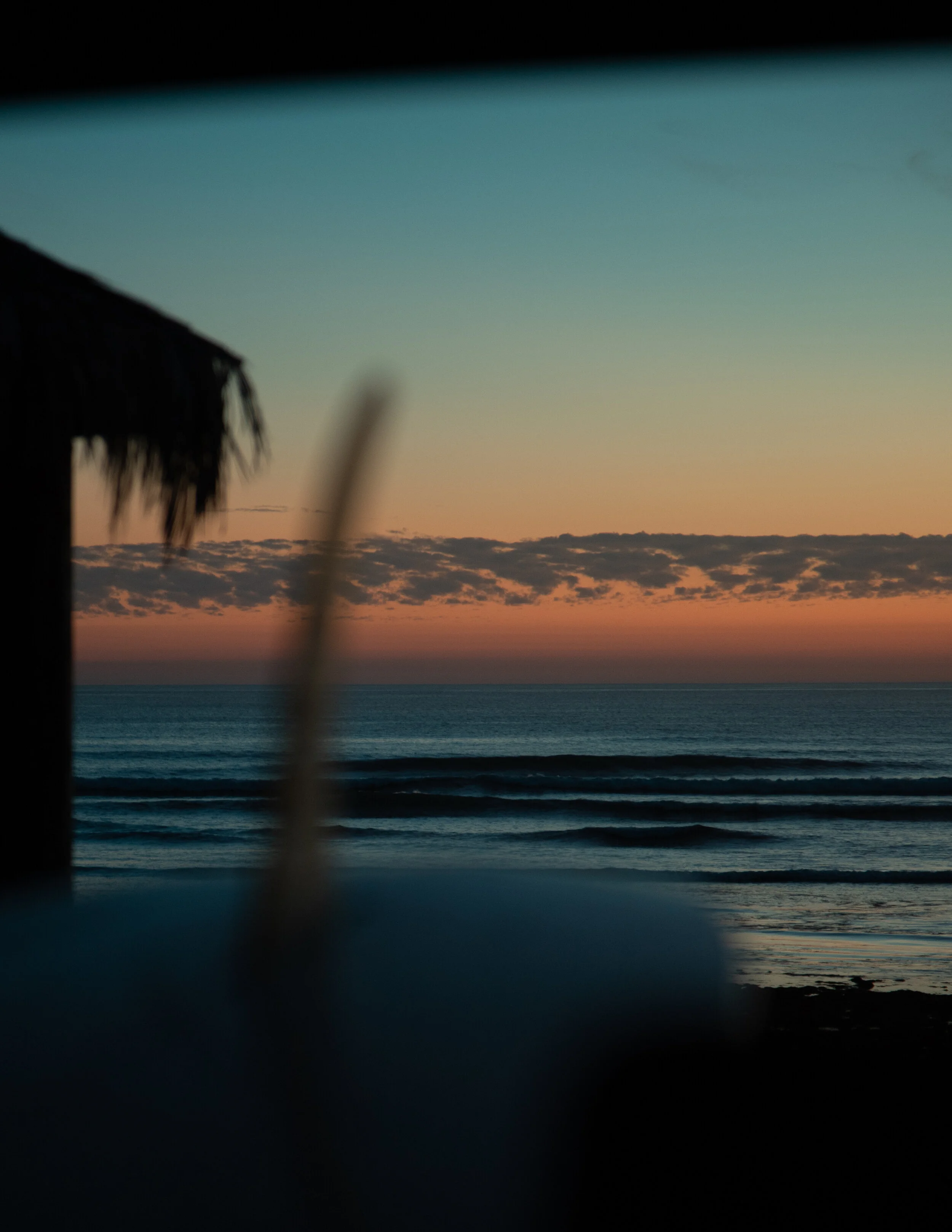 _MG_6528.jpg