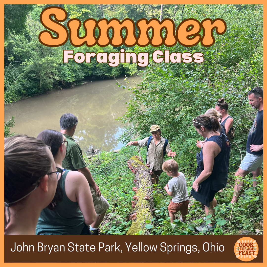 Summer Foraging Class (John Bryan State Park)