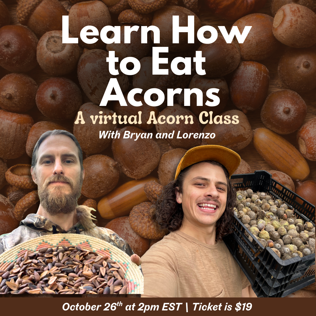 Virtual Acorn Processing Class
