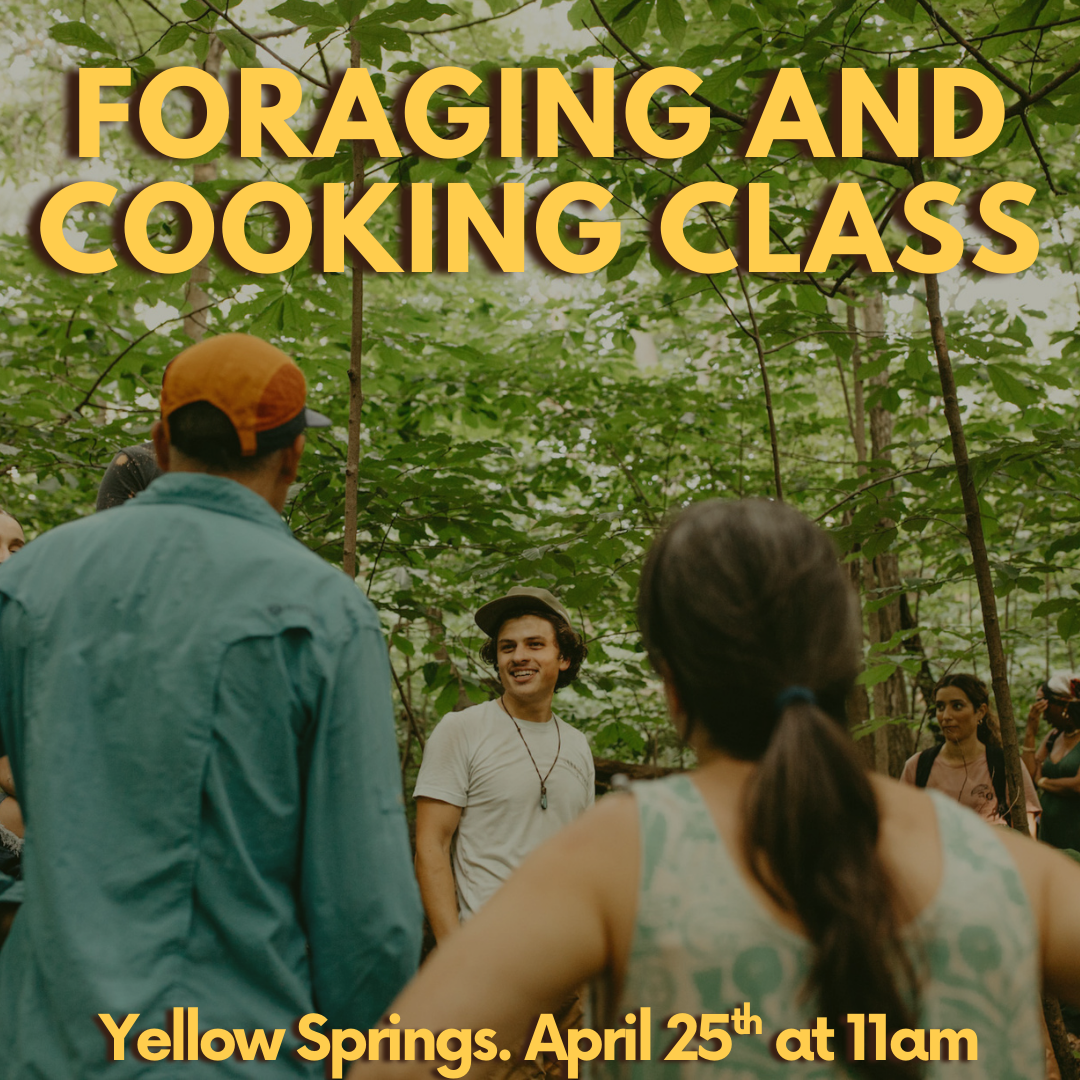 Hands On Cooking and Foraging Class