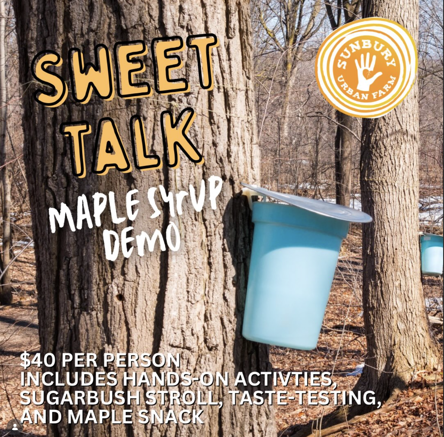 Sweet Talk | Maple Syrup Making Demo | Class 1 | 