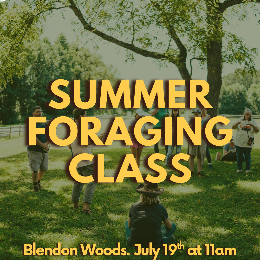 Summer Foraging Class 