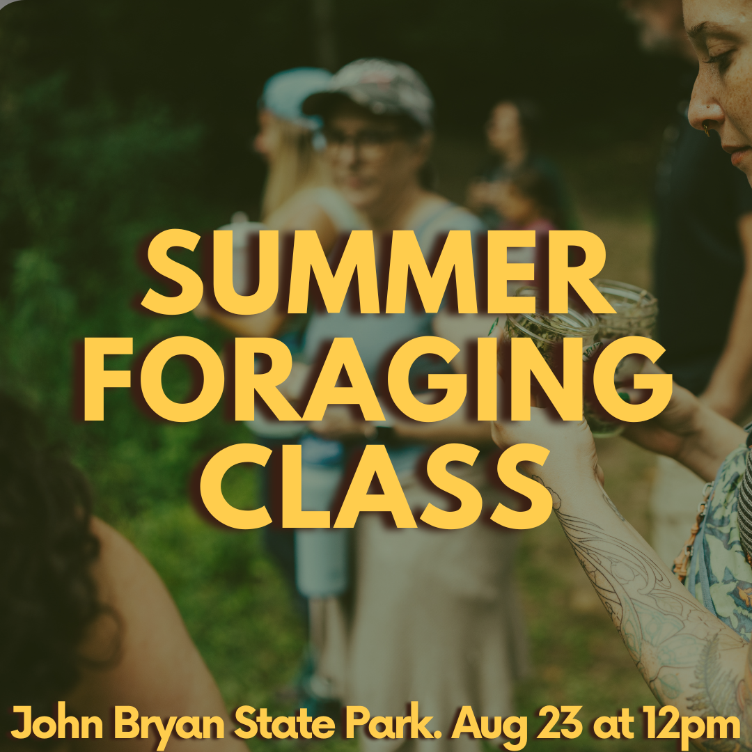 Summer Foraging Class 