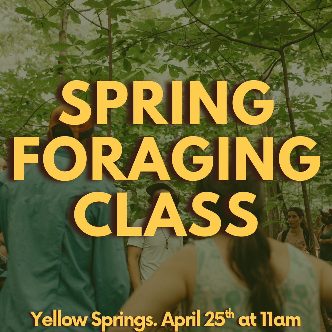 Spring Foraging Class