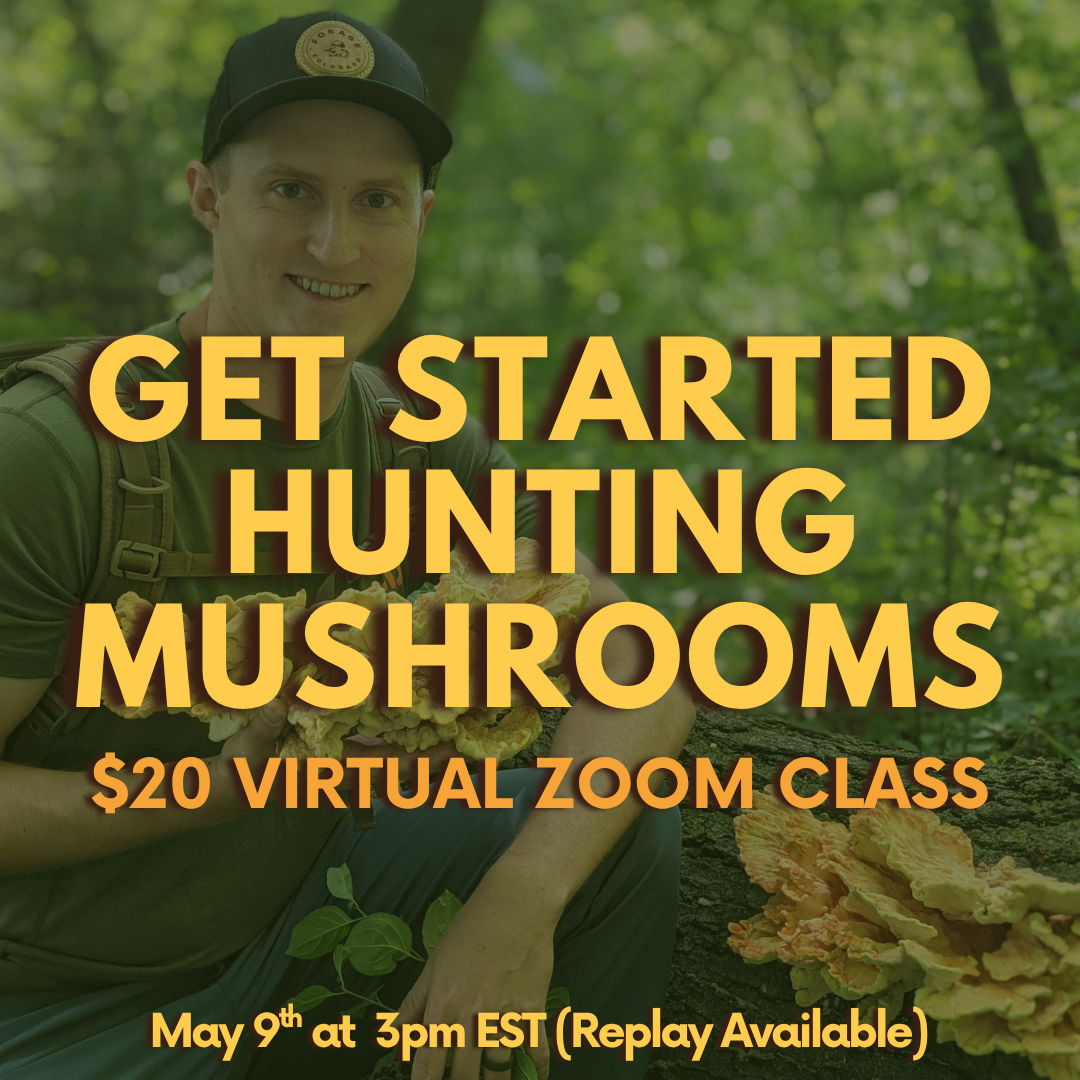 Mushroom Hunting Online Class