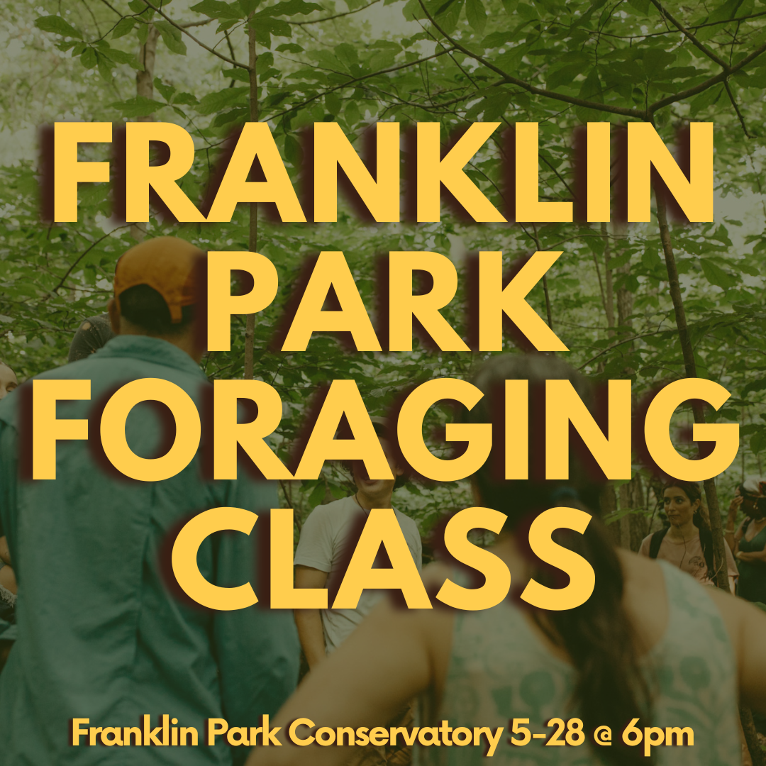 Franklin Park Conservatory Foraging Class 