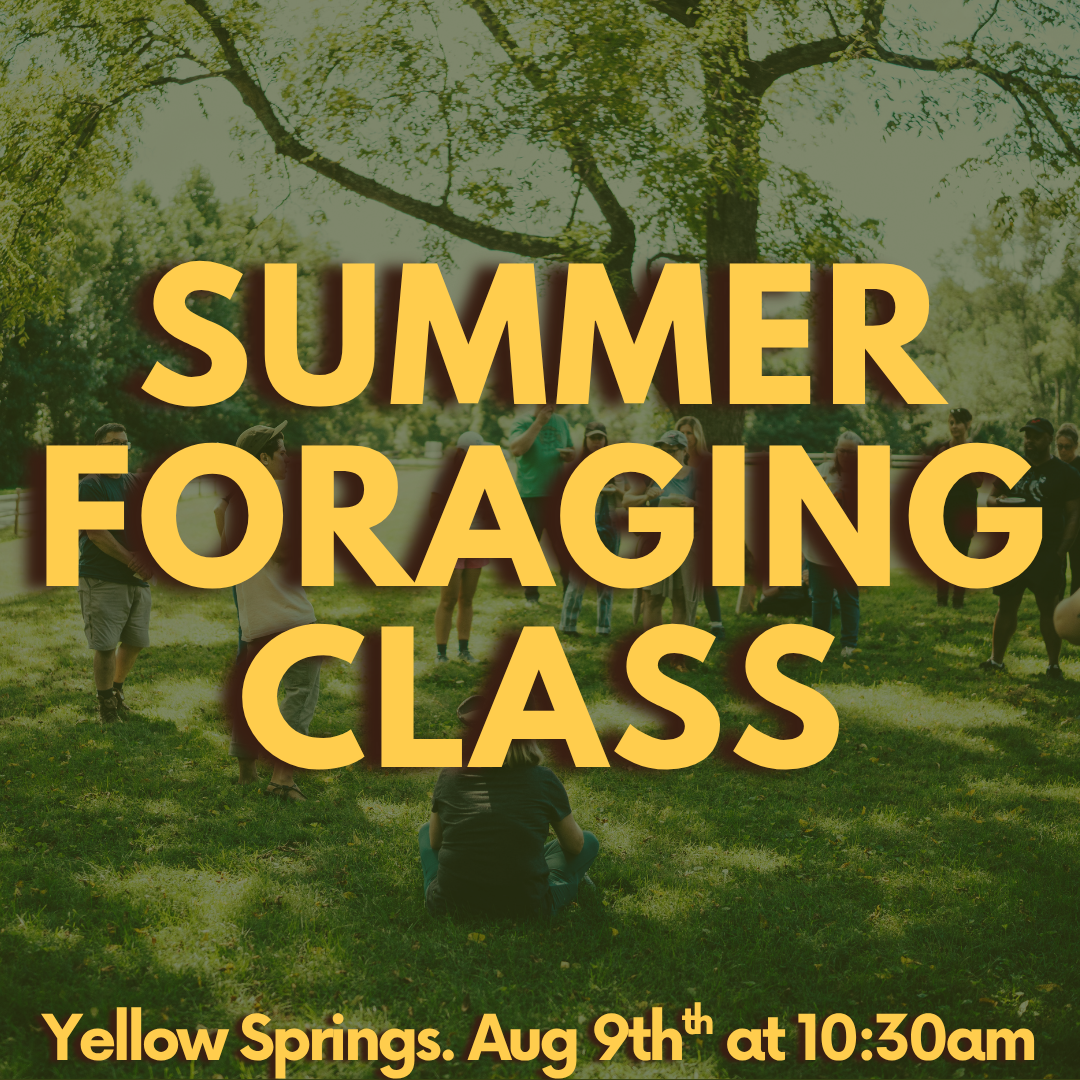 Summer Foraging Class 